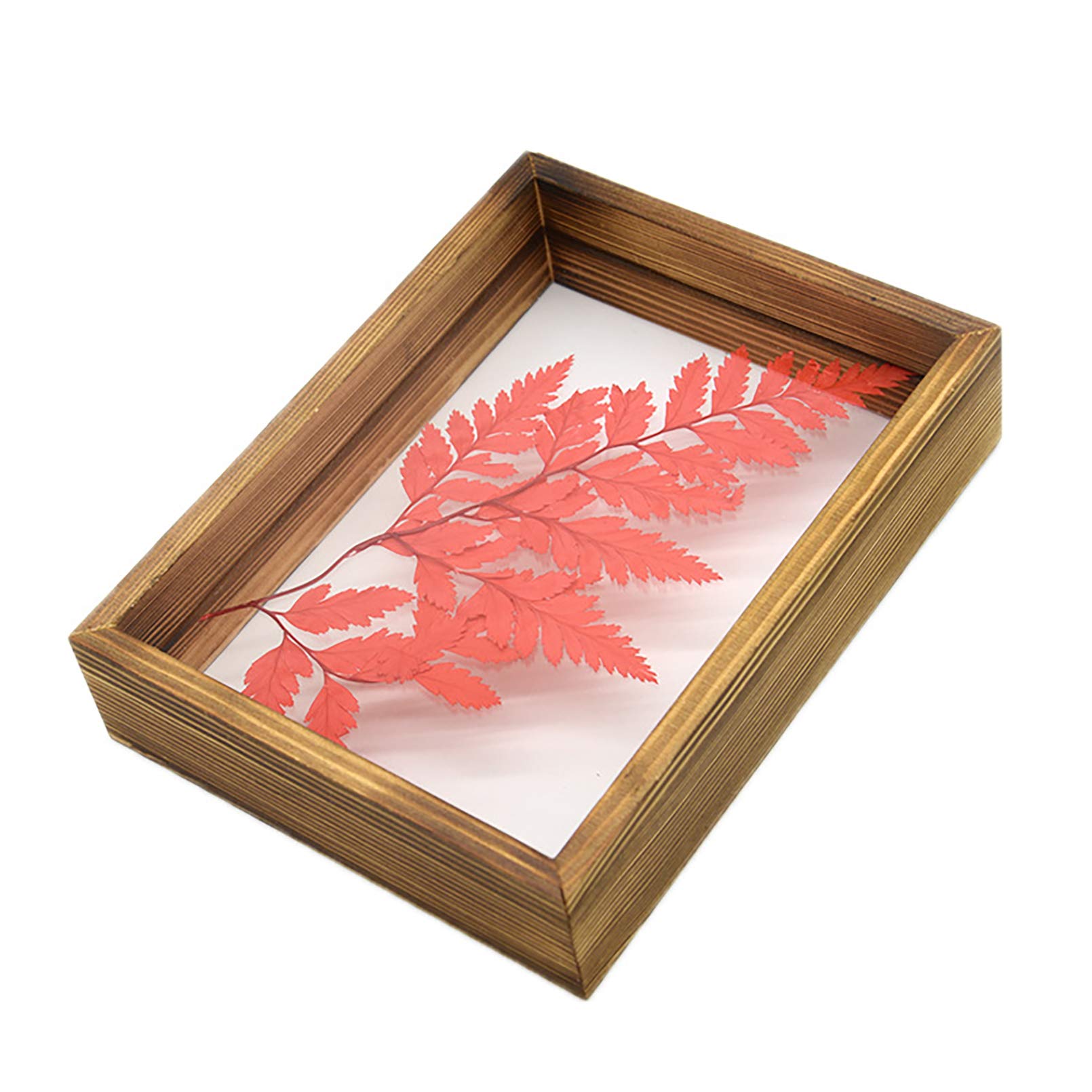 Plant Dried Flower Specimen Frame Double Sided Acrylic Glass Photo Frame DIY Picture Frame for Home Decoration Brown