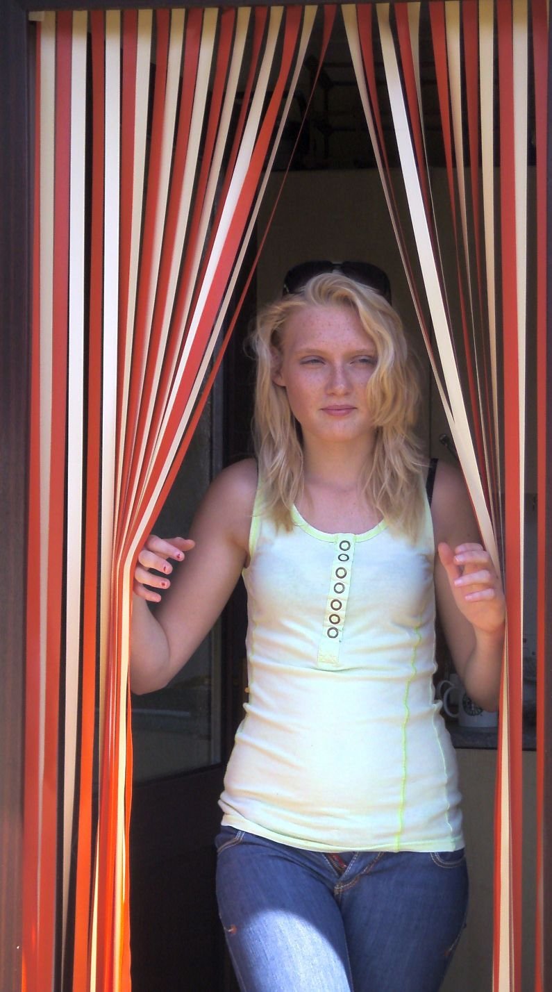 Buy Heavy Duty Bug Blind,Strip Blind/Fly Blind100cm/One metre wide