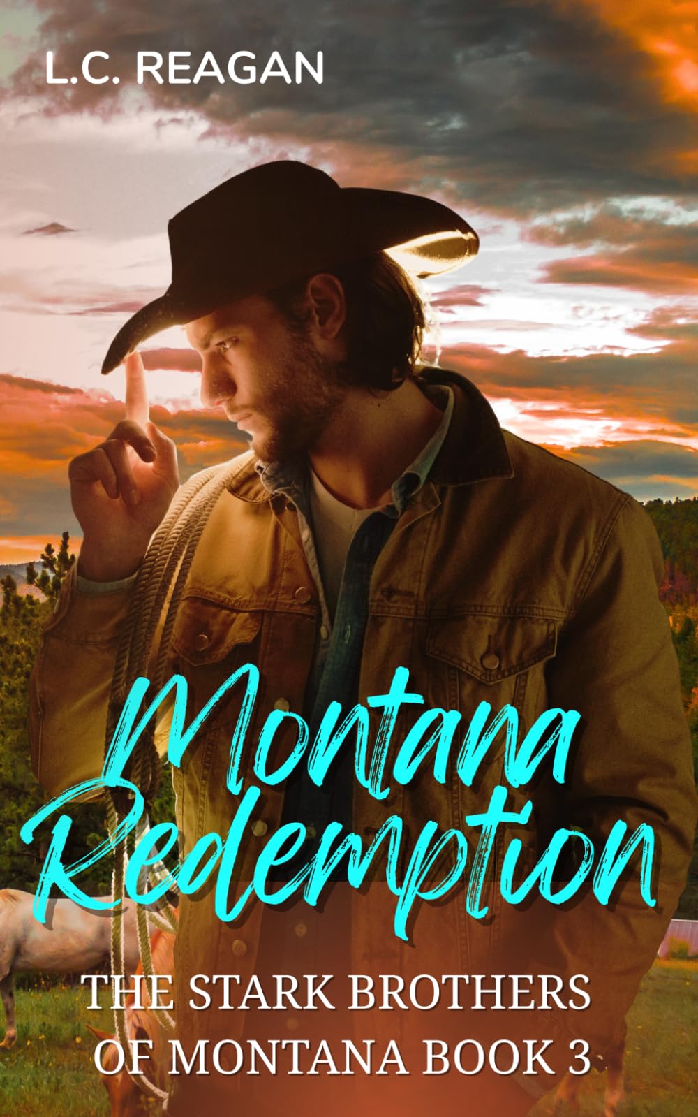 Montana Redemption: A Wounded Soldier Cowboy Romance (Rhett's Story) (The Stark Brothers of Montana)