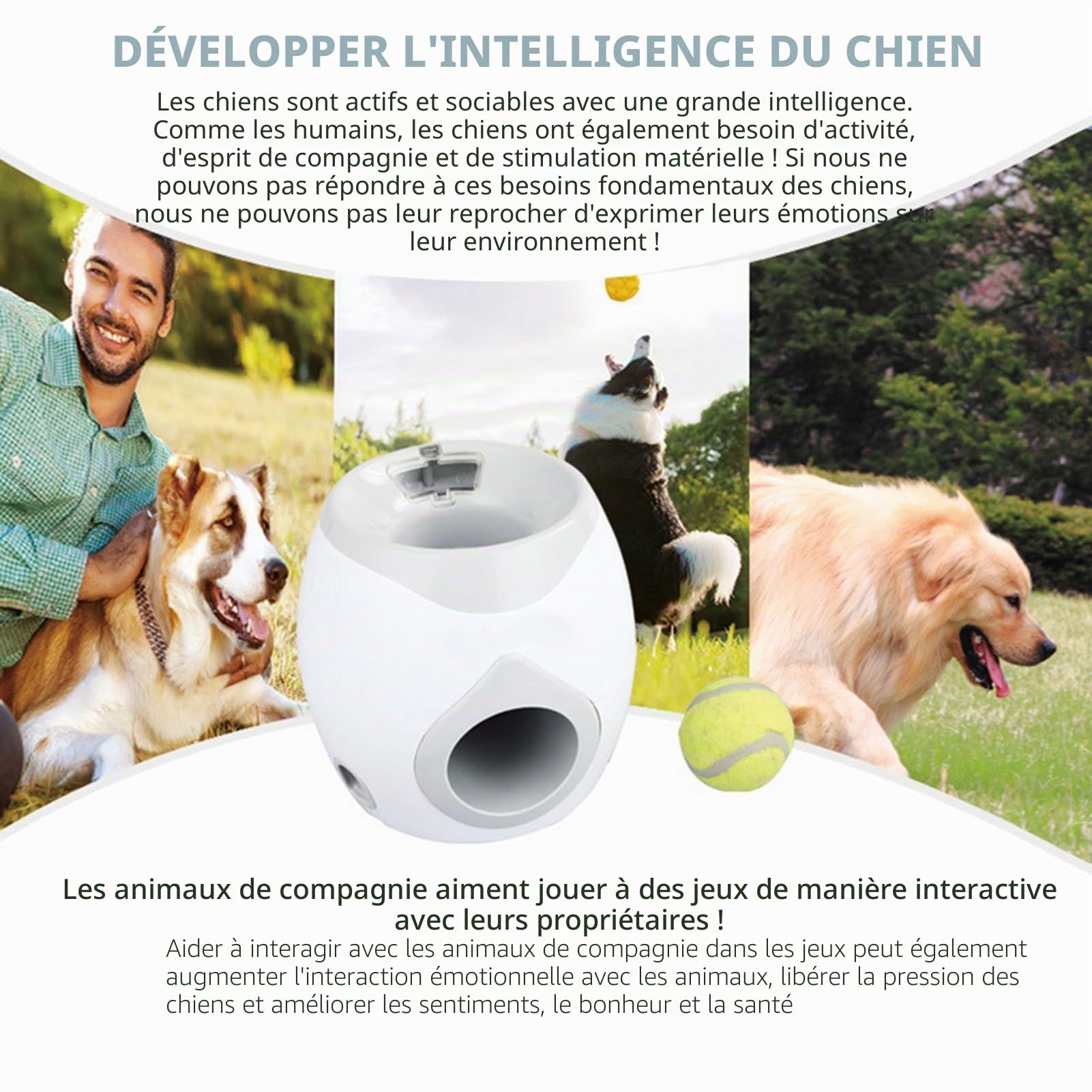Jouet lanceur de balle tennis automatique pour chien