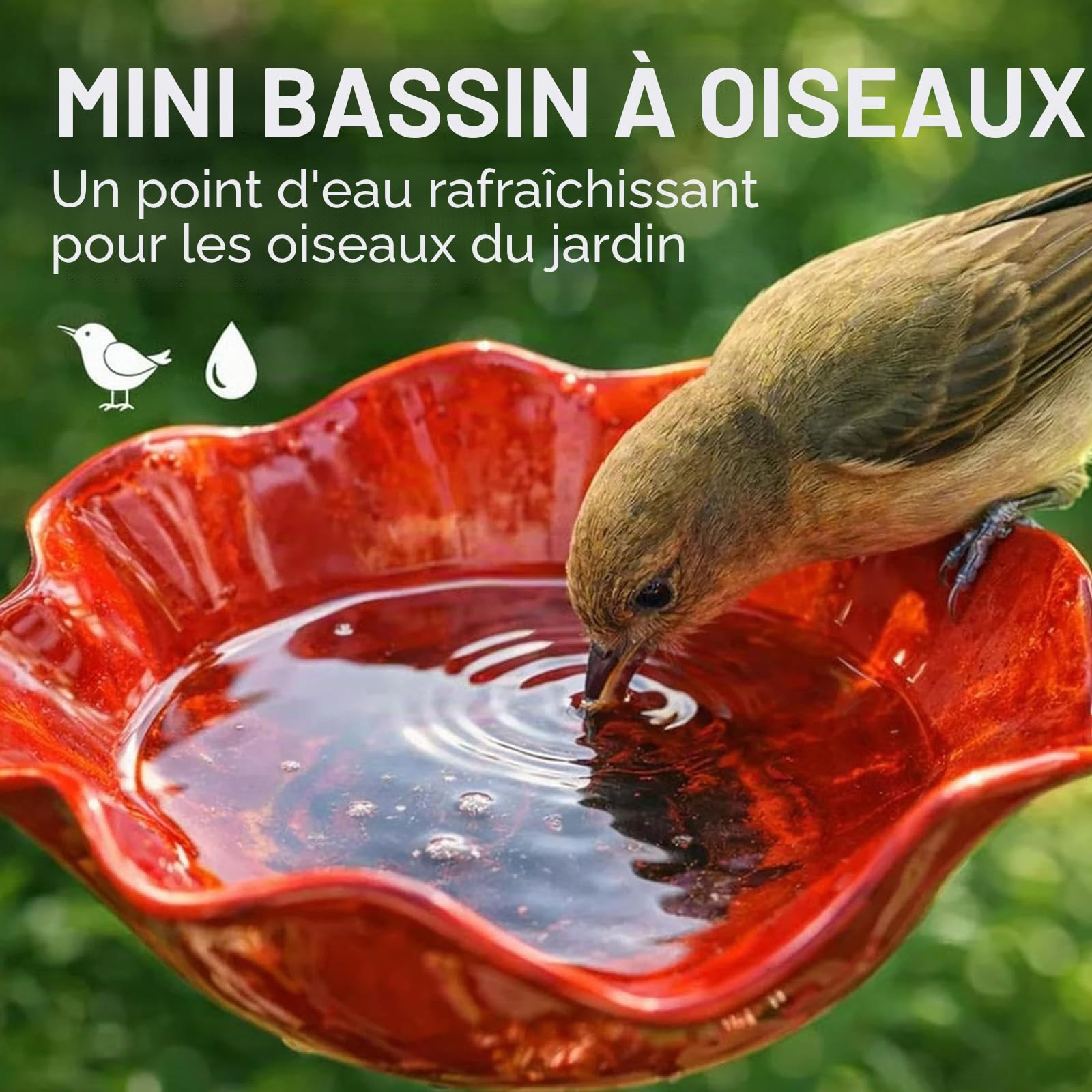 Bain D’Oiseaux,2 Pièces Abreuvoir Oiseaux,Bain pour Oiseaux,Mangeoire Oiseaux,Bassin pour Oiseaux,Deco Jardin Exterieur,pour Insectes et Papillons,Décoration Jardin Terrasse
