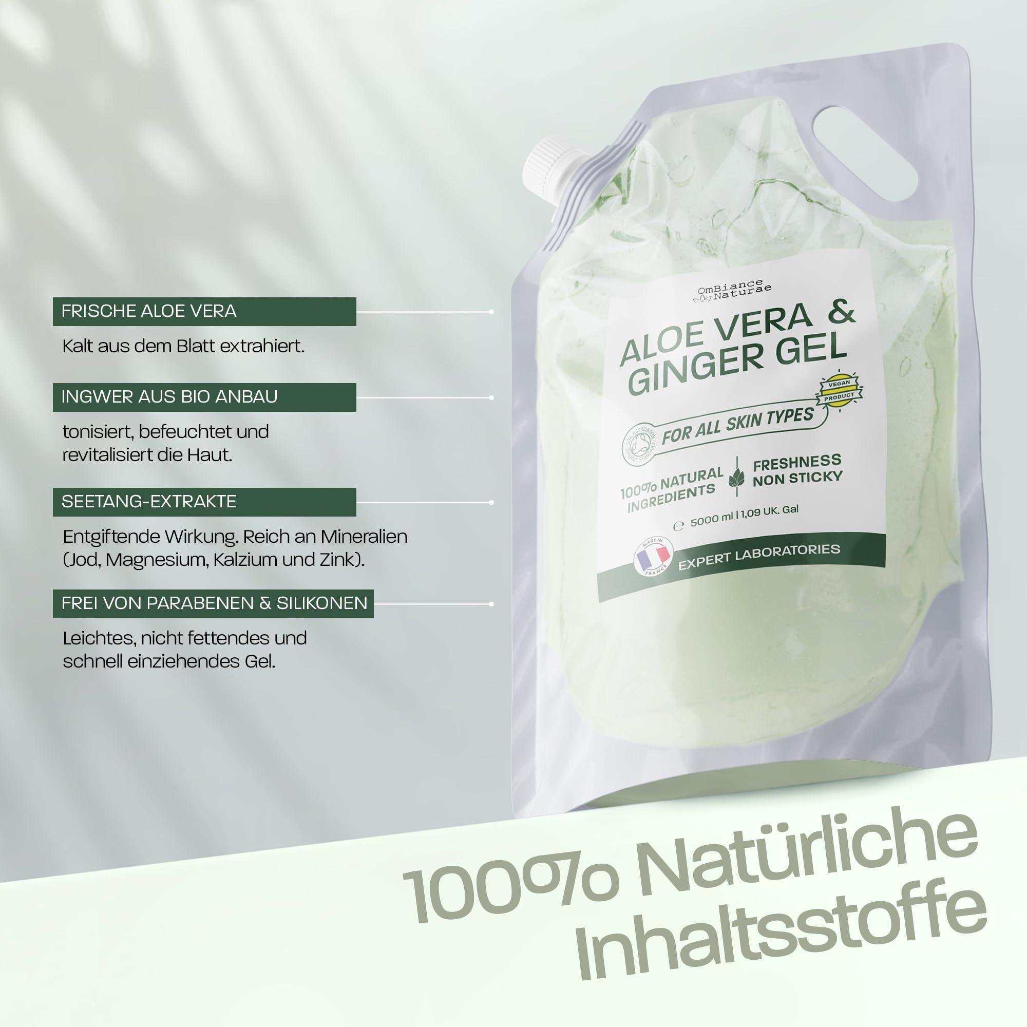 Aloe Vera & Ingwer Gel – Feuchtigkeitsspendend, Straffend & Erfrischend – Mit Frischblatt-Aloe aus biologischem Anbau in Spanien – Für Gesicht, Körper & Haare – After-Sun, Beine, Rasur (5000 ml)
