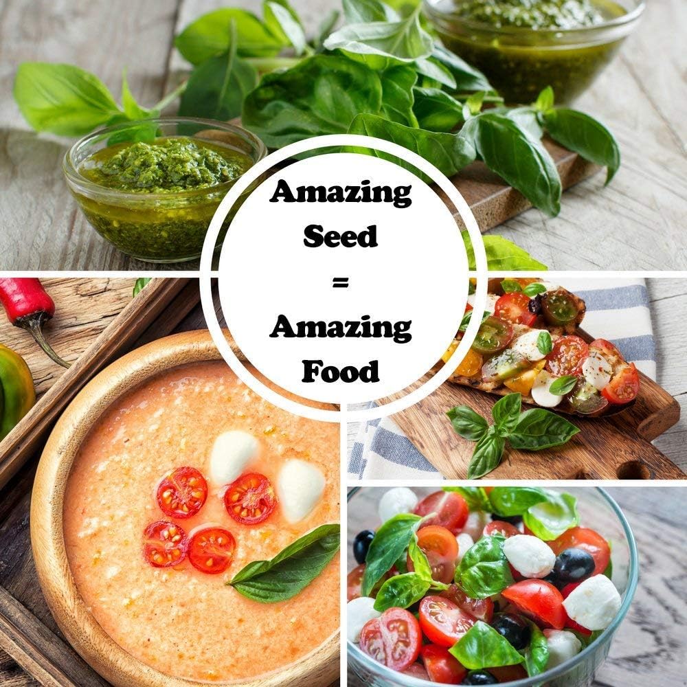 Deluxe Basil Seed Collection - 5 Varieties, 100% Non-GMO Heirloom Genovese Basil, Thai Basil, Lemon Basil, Italian Basil, and Dark Opal Basil Herb Seeds by Sustainable Seed Company (Collection Only)