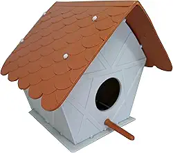 Casa De Passarinho Silvestres Ecológico Resistente Externo Grande (Argila)