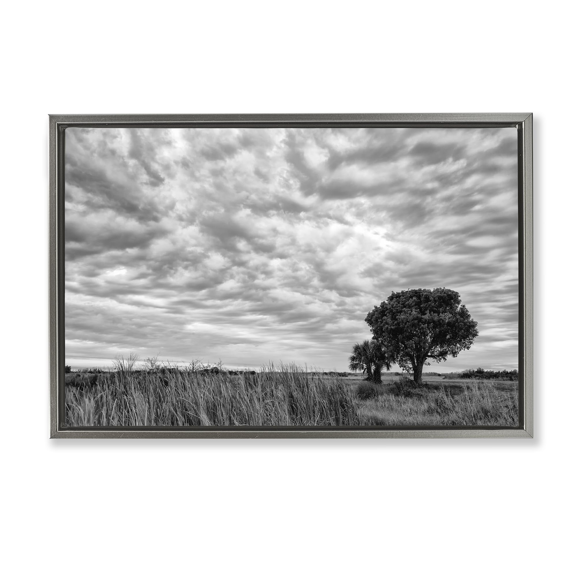Stupell Industries Solitary Tree Beneath Clouds, Greyscale Landscape Wall Art for Living Room, 20 x 30 Inch Gallery Wrapped Canvas Wall Art in Floater Frame, by Jon Evan, Made in USA Gift