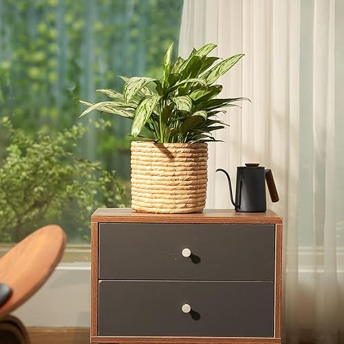 Miniatura 4 de Juego de 2 macetas de jacinto de agua para interiores para plantas, flores, suculentas, macetas de canasta, cubierta decorativa para macetas