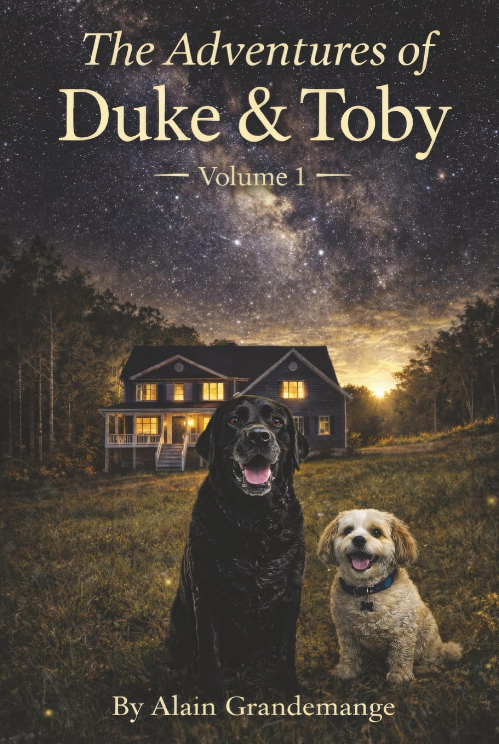 The Adventures Of Duke And Toby: Volume 1