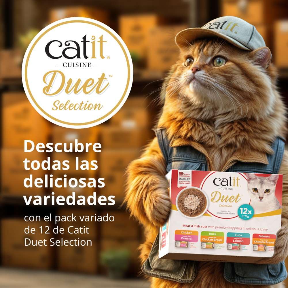 Catit Cuisine Duet Surtido