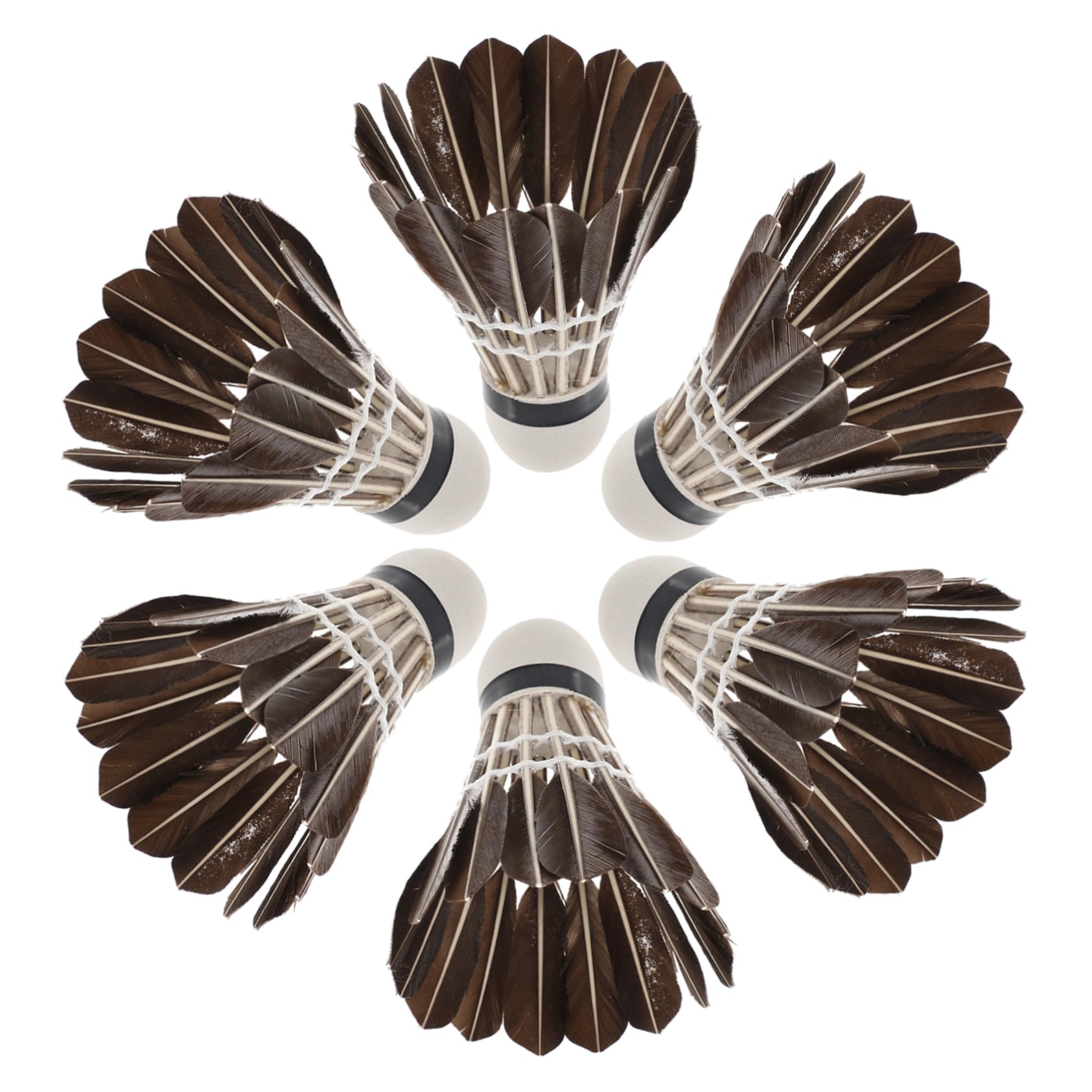 Hemoton Portable Badminton Training Supplies 6pcs Foam Head Shuttlecocks for Fitness Sports