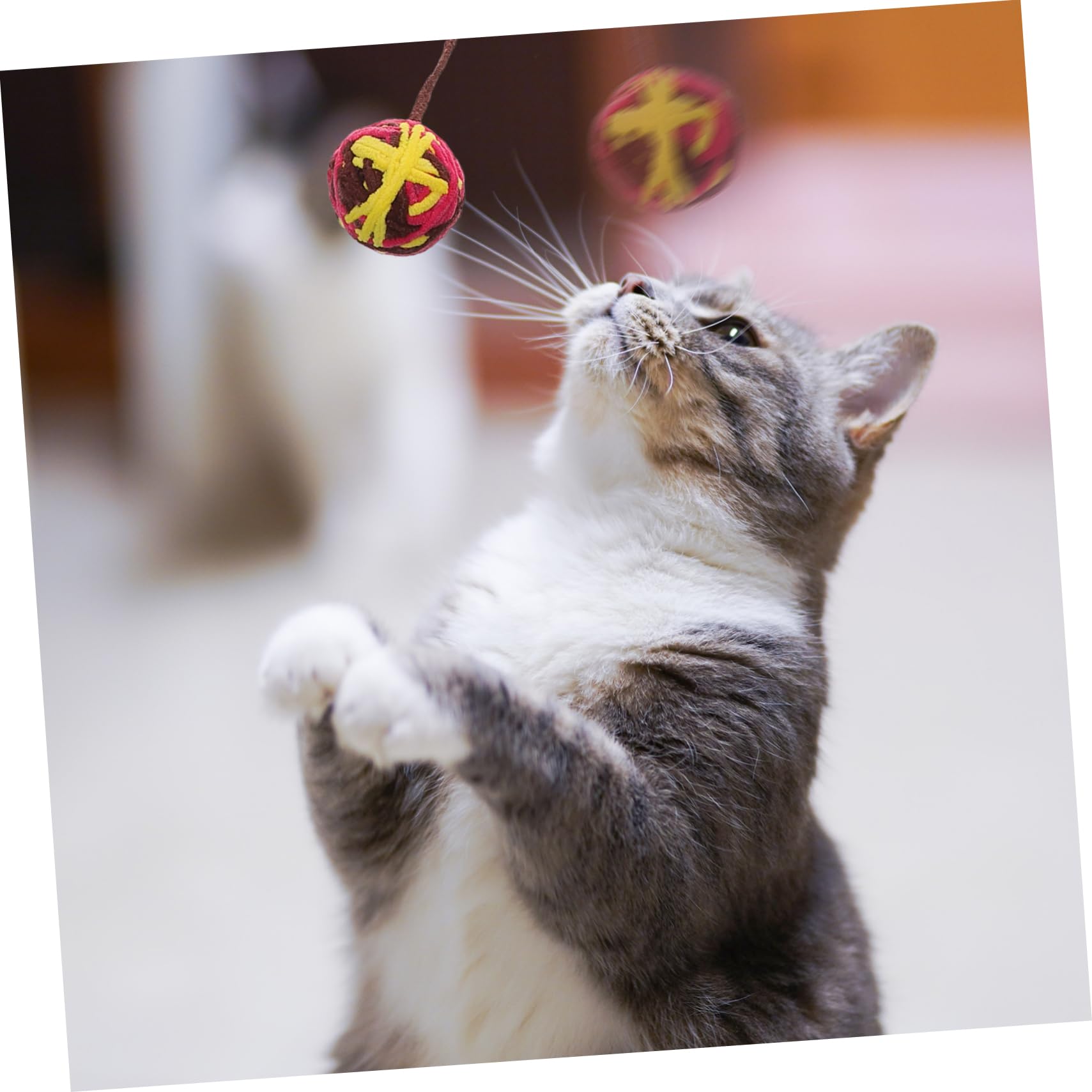 BESPORTBLE Lot De 3 Jouets Interactifs pour Chat Chaton Clochette Rebondissante Jouets en Laine Douce pour Animaux De Compagnie 8 Pièces X 3