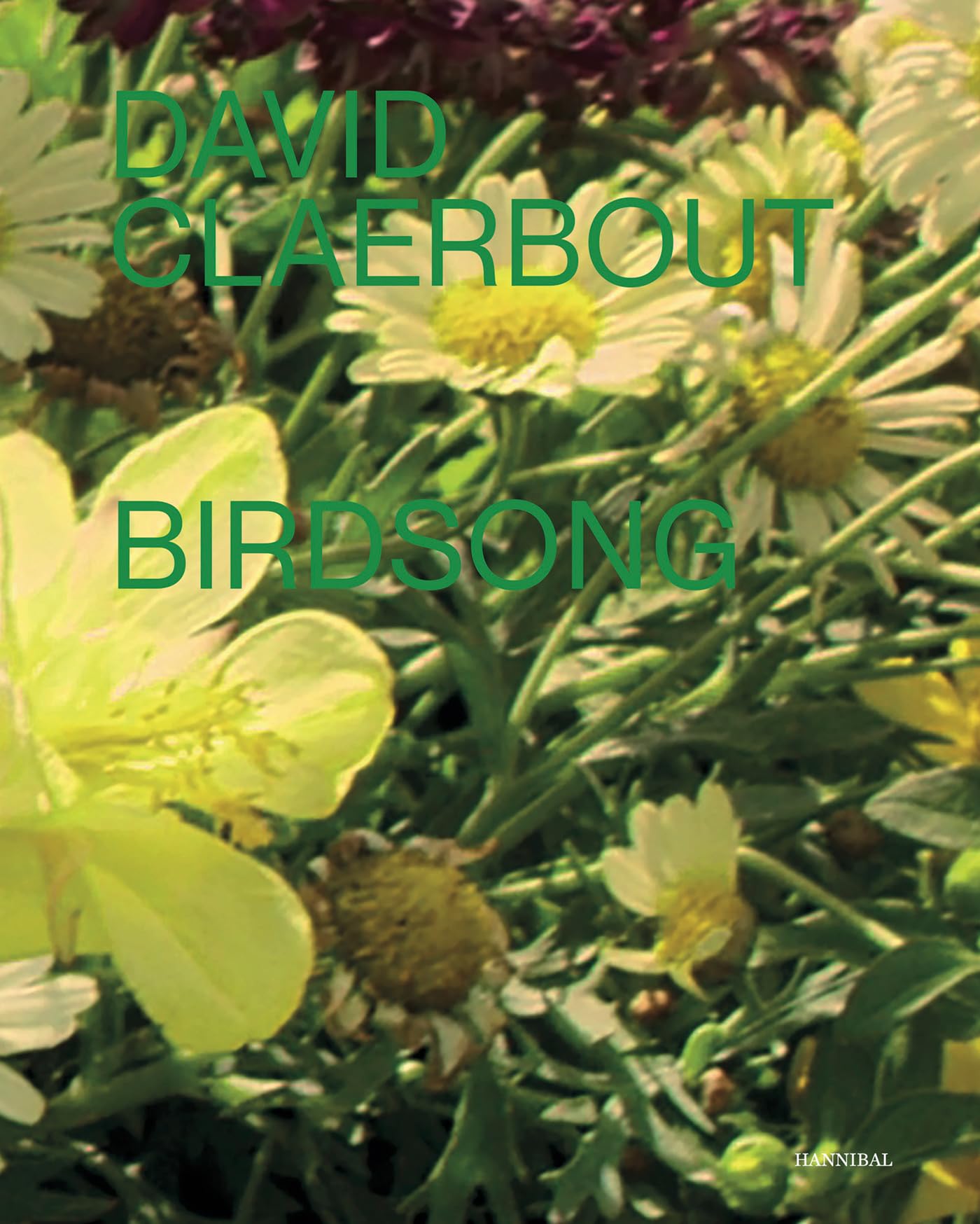Birdsong solution anti-stress par le son de la nature pour calmer l'esprit