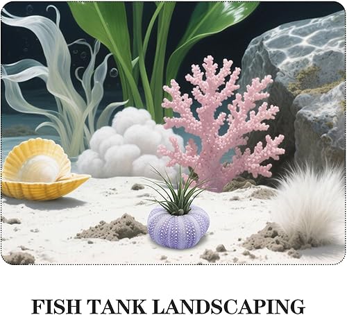 Miniatura 3 de 6 piezas mini de erizo de mar, soporte decorativo para plantas de aire para plantas de aire para plantas de aire, contenedor de exhibición de