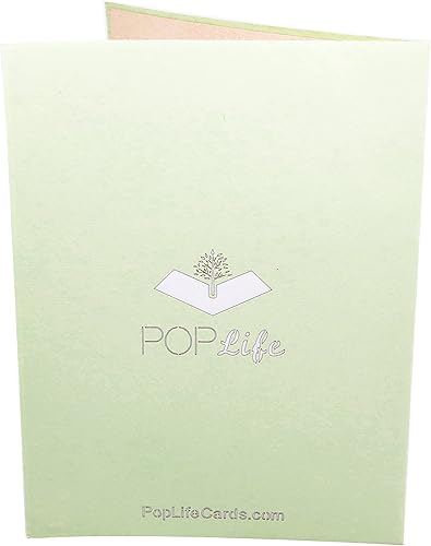 Miniatura 8 de PopLife Tarjeta desplegable 3D de margaritas coloridas con margaritas para el día de la madre, tarjeta de cumpleaños, aniversario, agradecimiento,