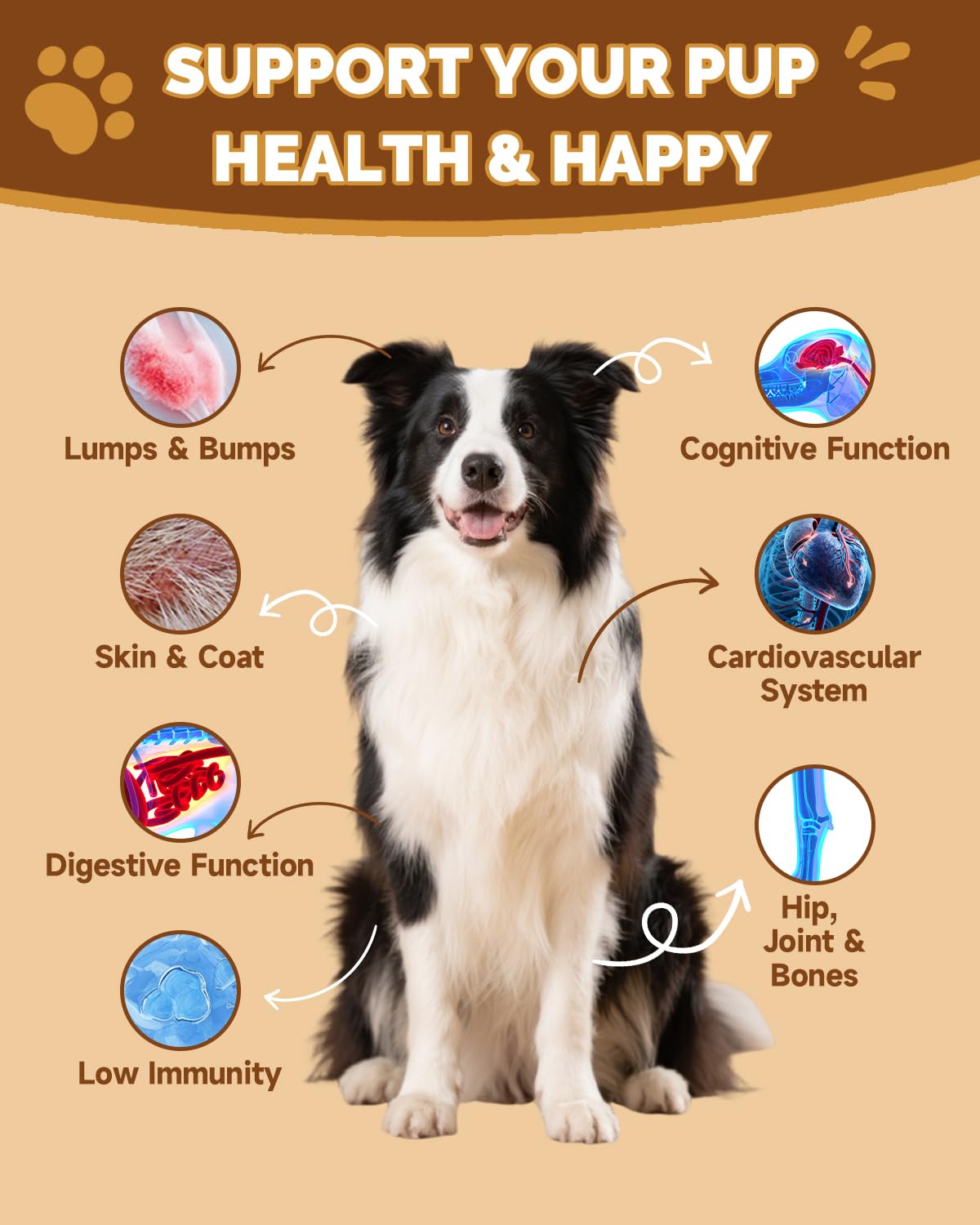 Spray aux phéromones pour chats & friandises aux champignons pour chiens – réduit griffures, bagarres, mictions et marquages – anti-stress et anxiété – pour intestin, peau, articulations et immunité d