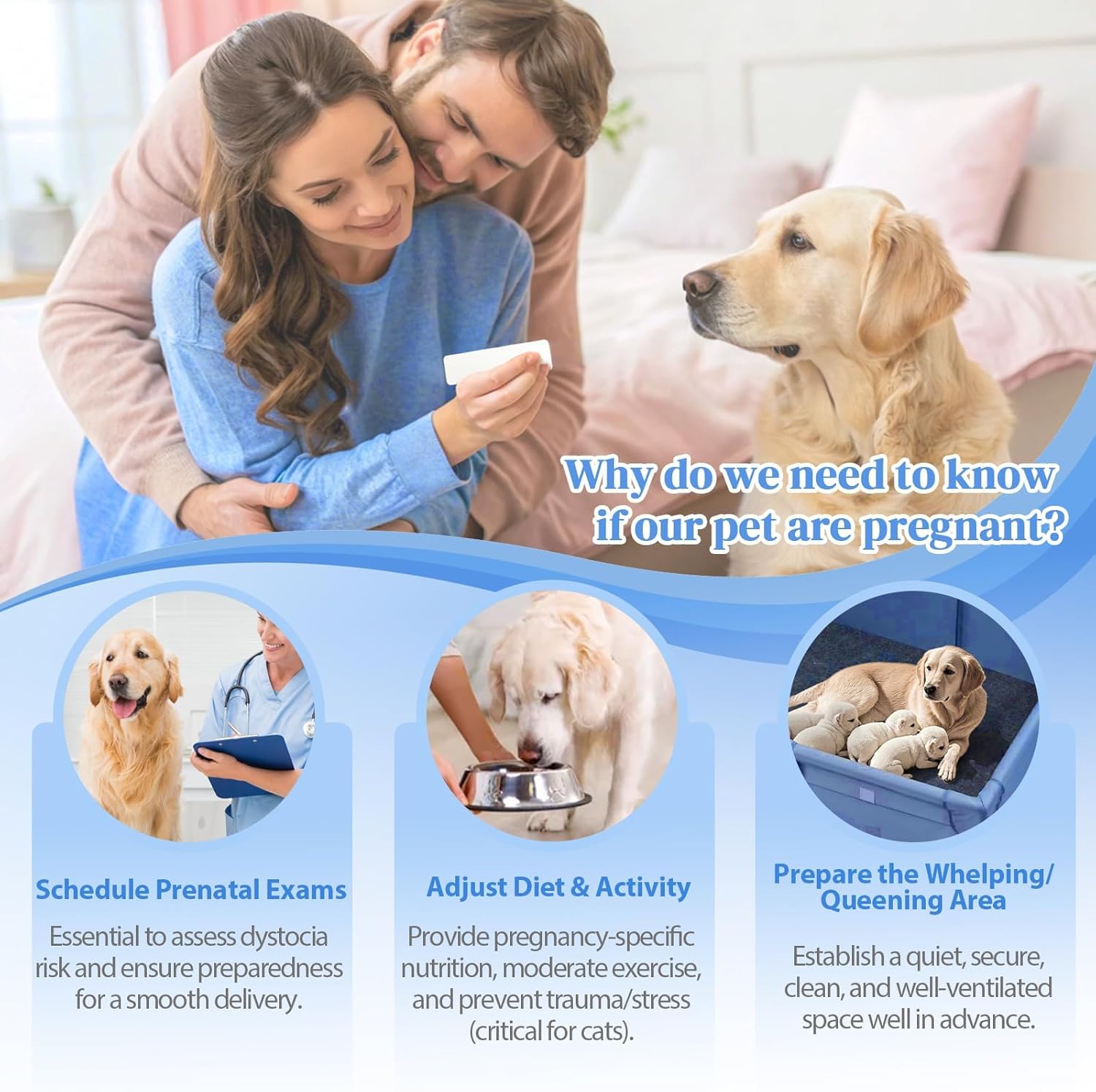 Dog and Cat Pregnancy Test Kit at Home, Urine Testing, Accurate Results in 5 Minutes, Easy to use, Painless, high Accuracy Rate up to 99%, for pet Dog and cat Health Monitoring
