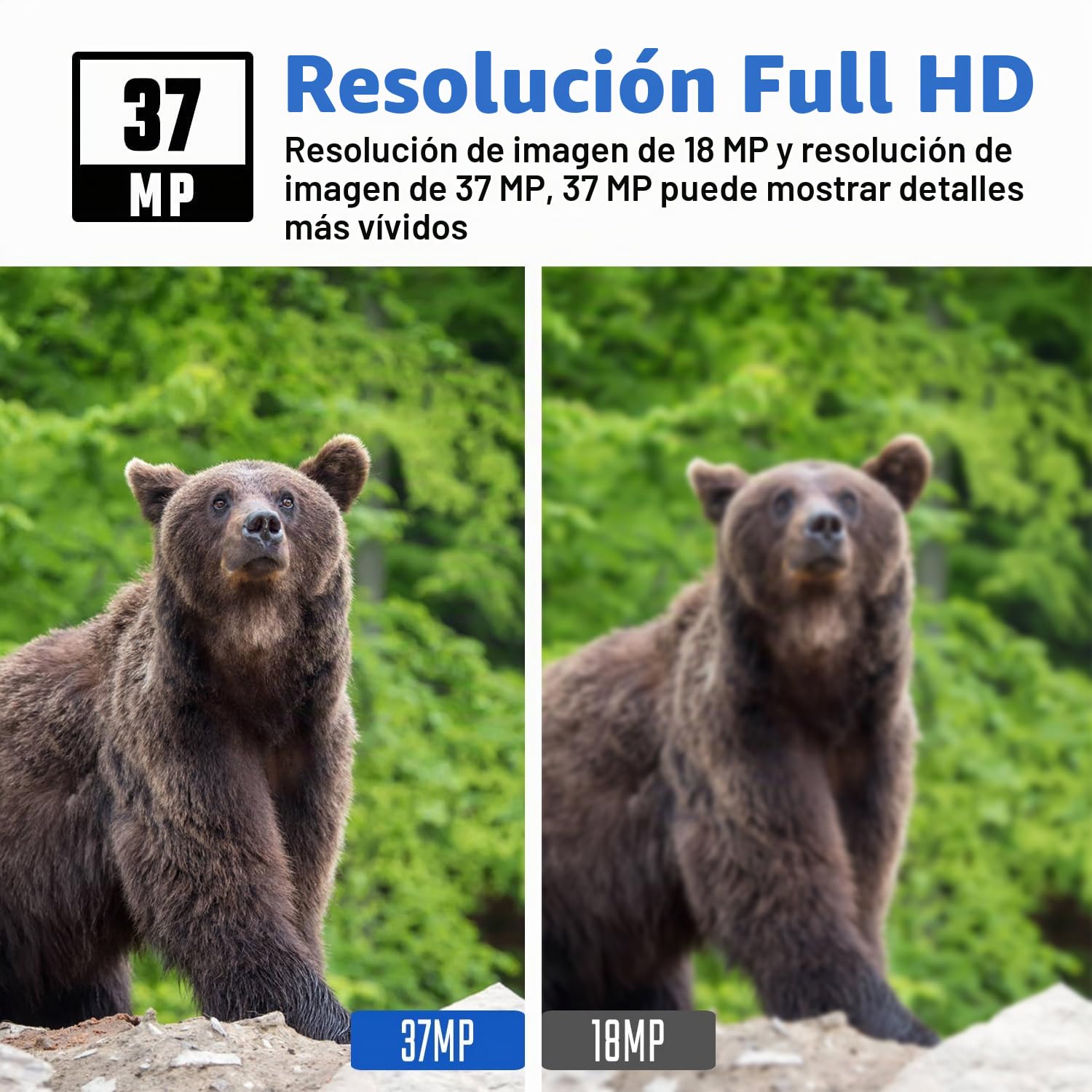 BolyGuard - Cámara de Caza (37 MP, 4K, cámara de Falso con detección de Noche sin Brillo, 940 NM IR LED, intervalo de Tiempo, Temporizador Impermeable IP66