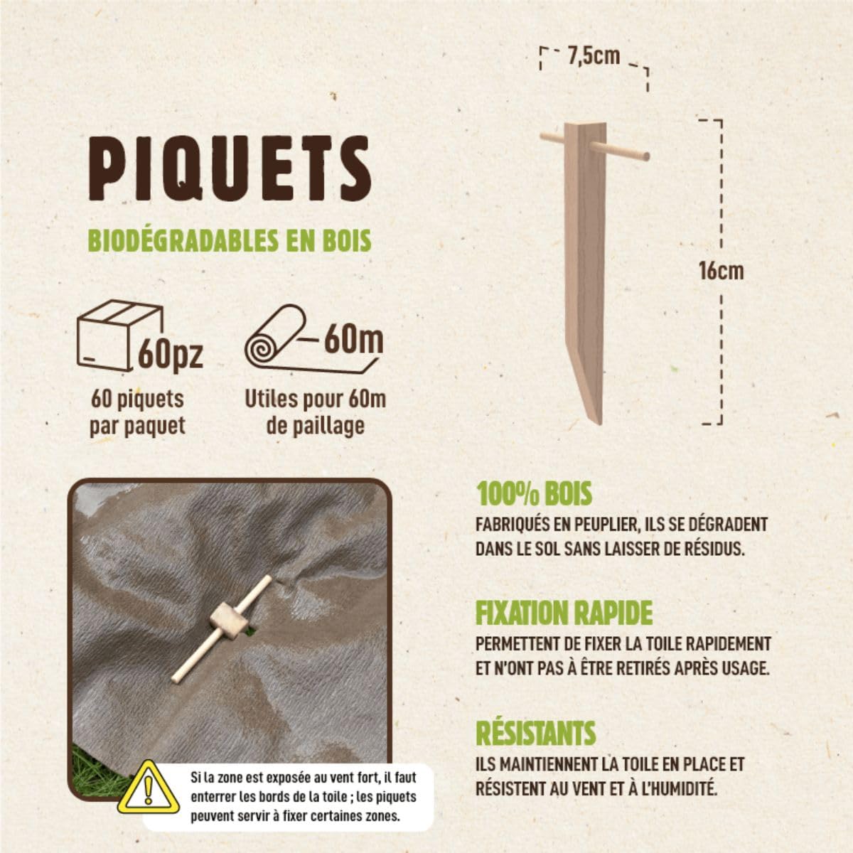 Set di 60 picchetti di fissaggio in legno di pioppo per tela di pacciamatura - Ancoraggio suolo autorodegradabile giardino orto, fissaggio telone pacciamatura