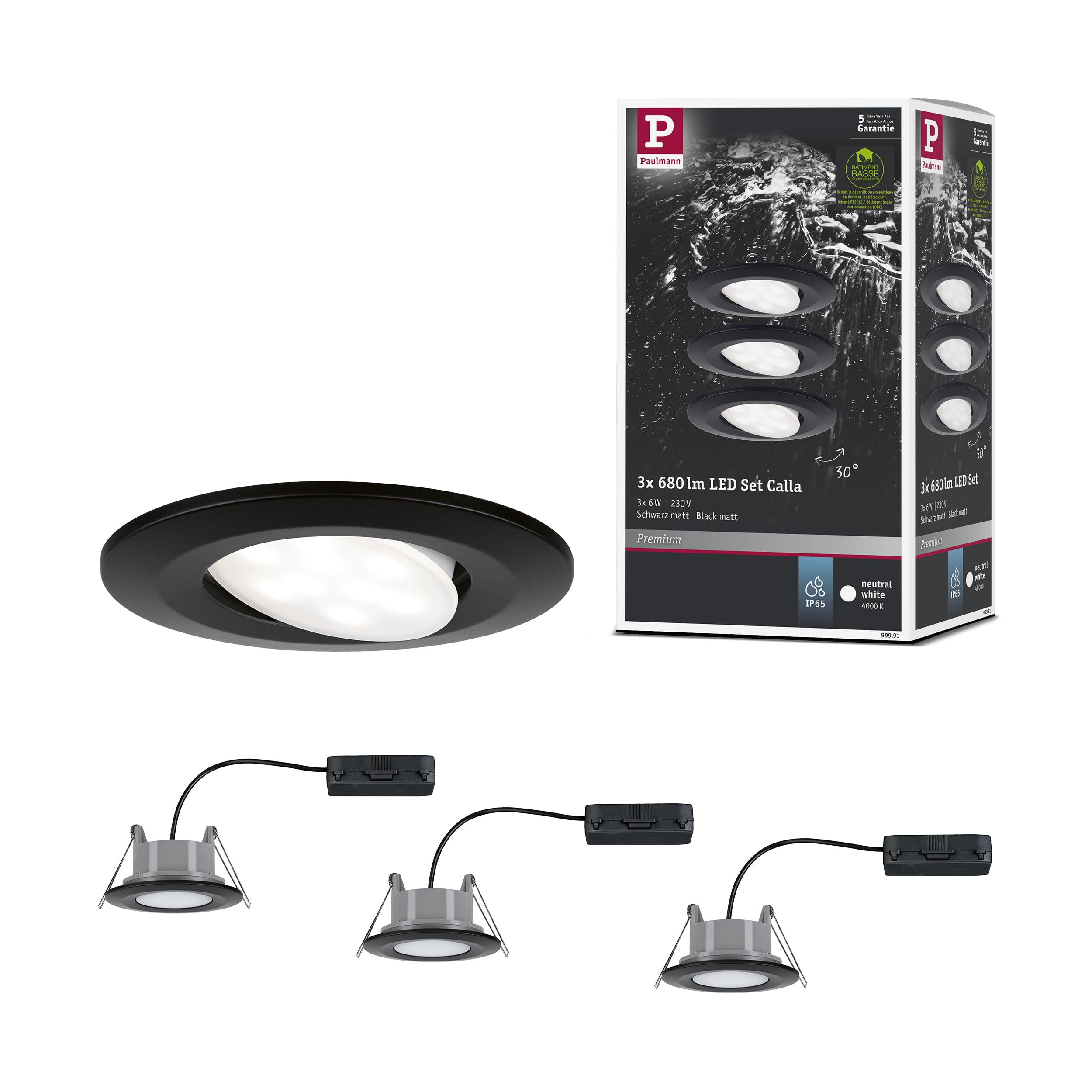 Paulmann 99991 LED Einbauleuchte Calla rund 3er Set 3x6W IP65 neutralweiße Einbaustrahler Schwarz matt schwenkbar Spots Kunststoff Einbaulampe 4000K