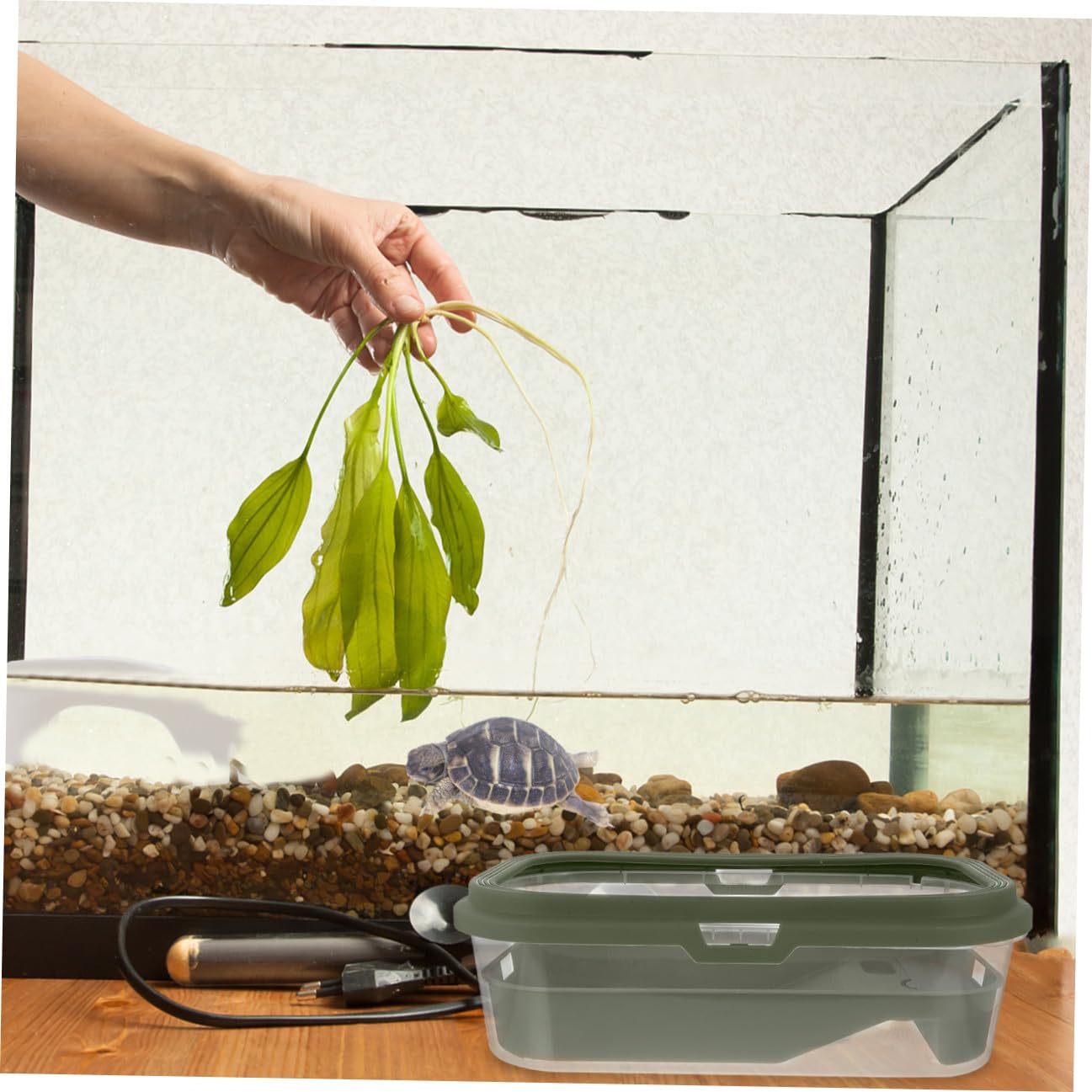 Terrarium pour Tortues avec Terrasse et Rampe, Grand Aquarium Vert | Plastique, Design Créatif, Dispositif de Changement D’eau, Nettoyage Facile, Usage Pratique pour Grenouille et Tortue