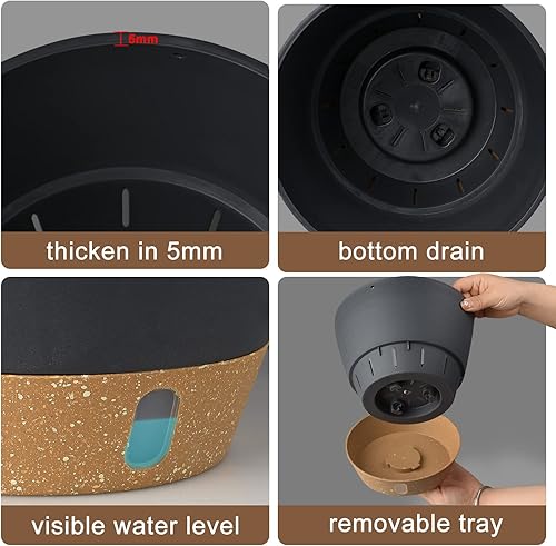 Miniatura 3 de Macetas colgantes para plantas de interior, macetas colgantes de 8 pulgadas con 3 ganchos, juego de 2 macetas modernas con orificio de drenaje y