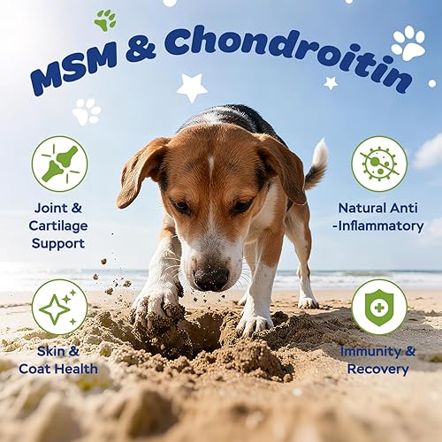 Miniatura 3 de Suplemento de cadera y articulaciones para perros con glucosamina, condroitina y MSM - Masticables de apoyo articular con vitaminas C y E para