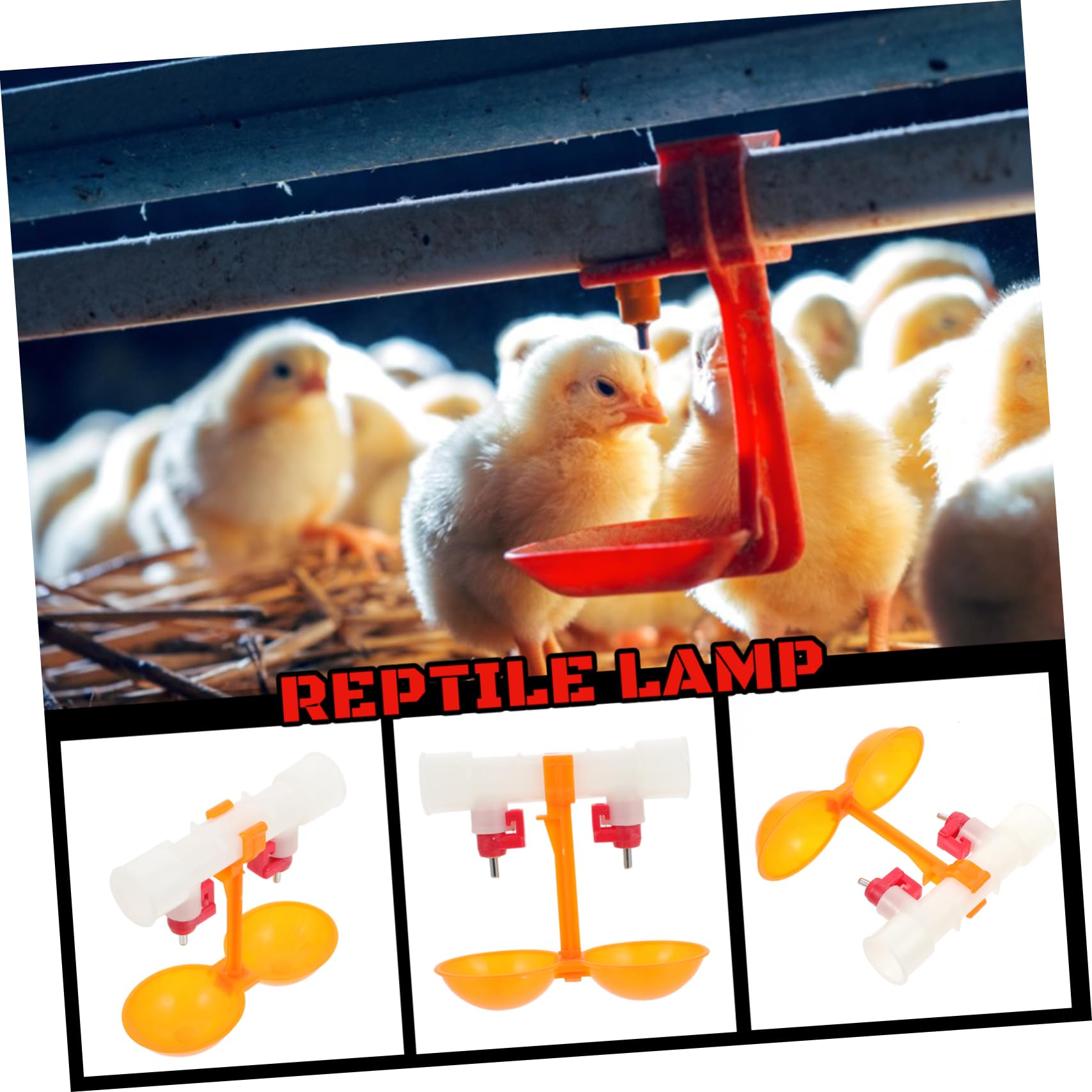 Bevitore per Polli Tazza Sospesa 10 Pezzi in Abs Nipple | Uscita Doppia, Installazione Semplice e Pulizia Rapida, Alimentazione Automatica 360° per Pollame e Anatre