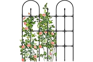 Outside Trellis for Climbing Plants 47" Tall