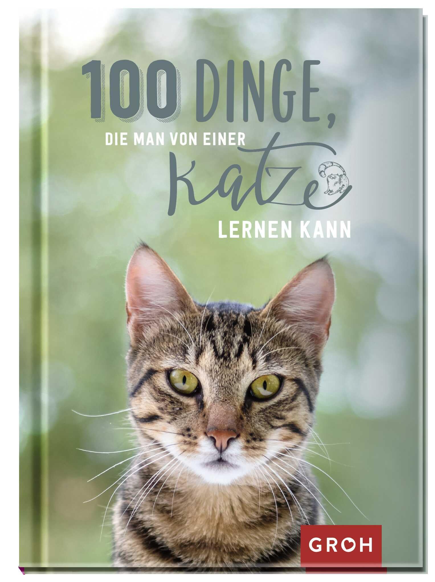 100 Dinge, die man von einer Katze lernen kann – Kleines Geschenkbuch – 96 Seiten mit Katzenfotos, Illustrationen und Humor