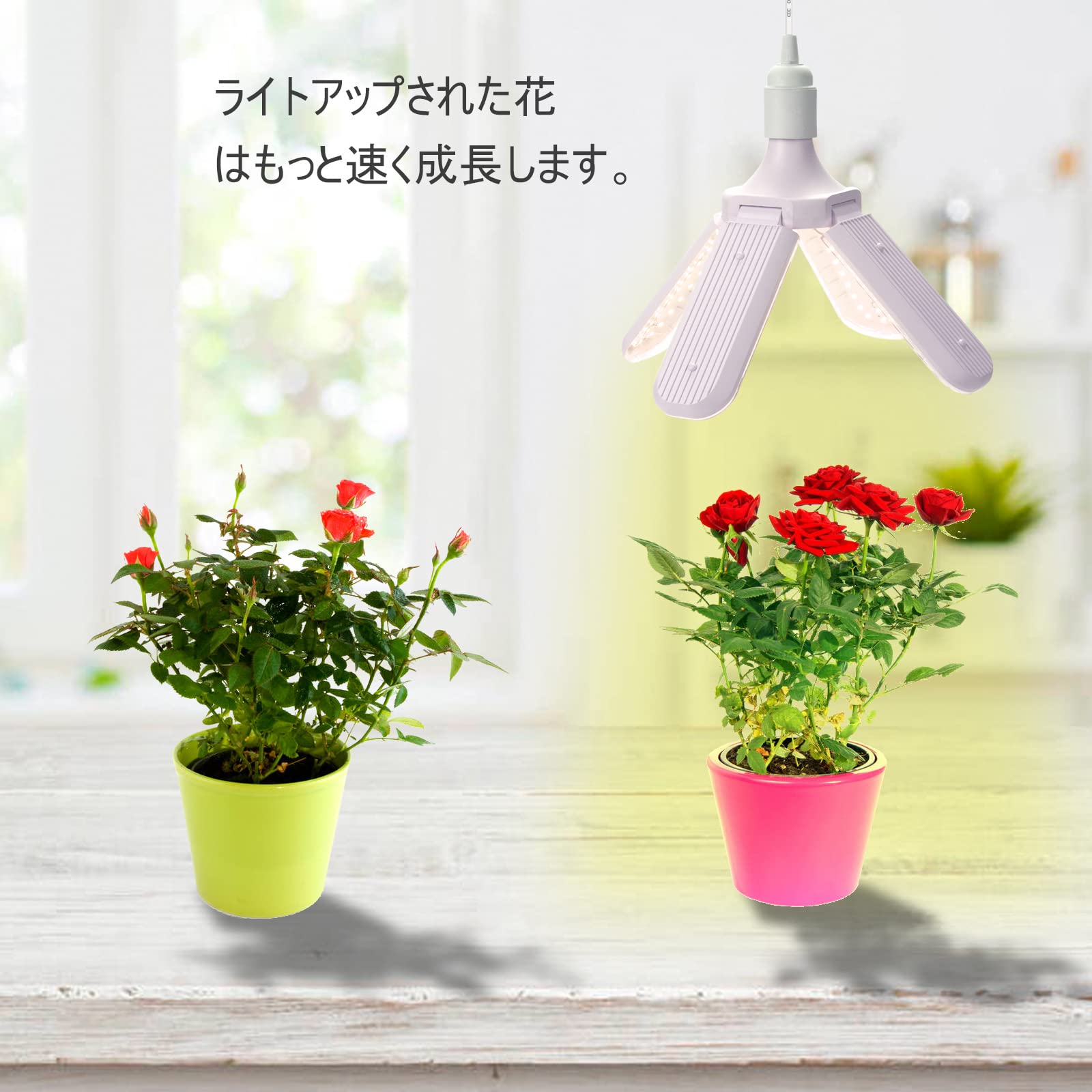 Amazon.co.jp: 植物育成ライト LED E26植物育成用水耕栽培ライト