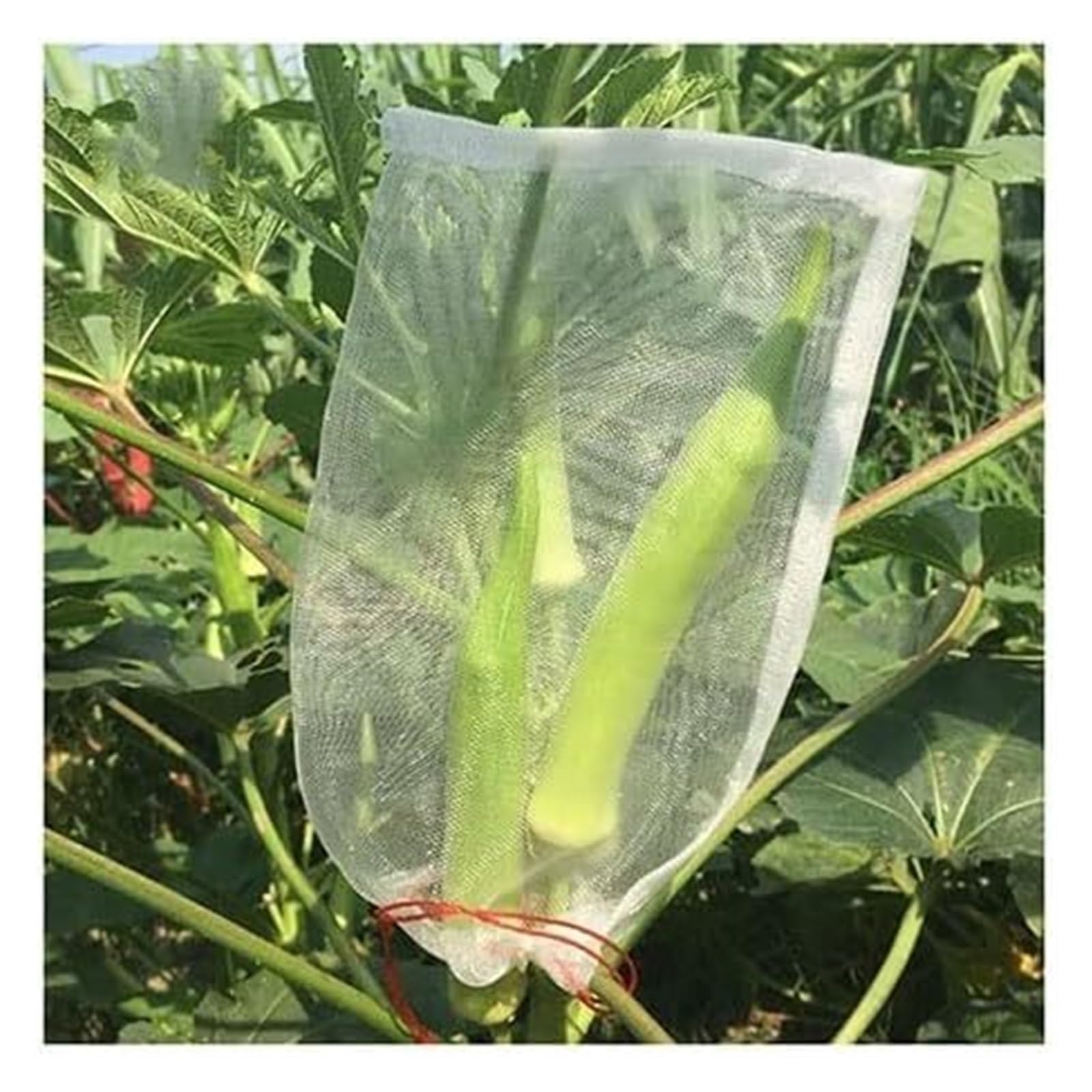 Fruit netting Garden Plant Net Bags Fruit Protection 100pcs Insect Proof Bird Reusable Vegetable Grape Bag(60x40cm)