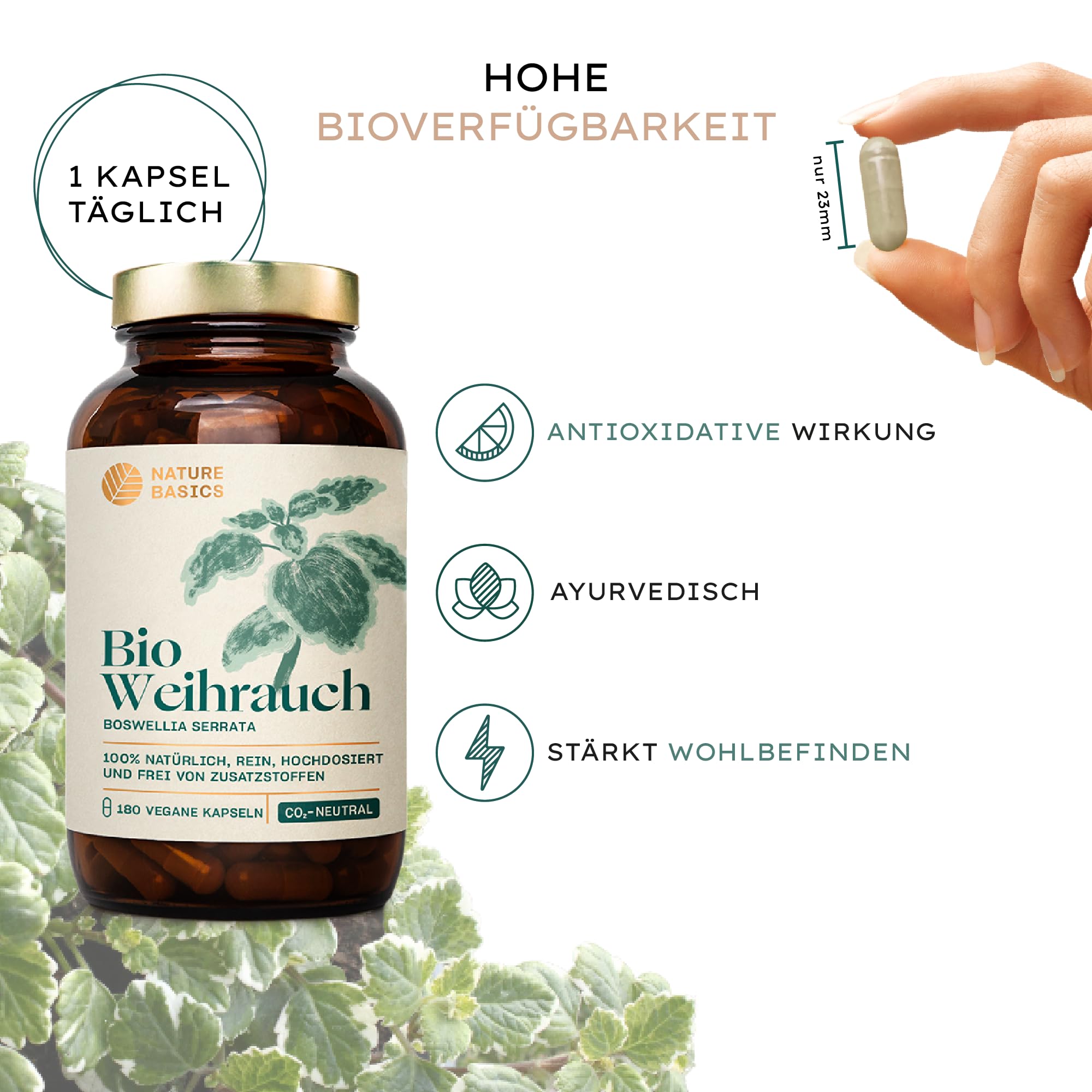 Bio-Weihrauchkapseln hochdosiert & zertifiziert nachhaltig im Glas / 65% Boswelliasäuren / 180 Kapseln mit je 500mg Bio-Boswellia Serrata/Ayurveda/reines & laborgeprüftes Bio-Weihrauch Extrakt