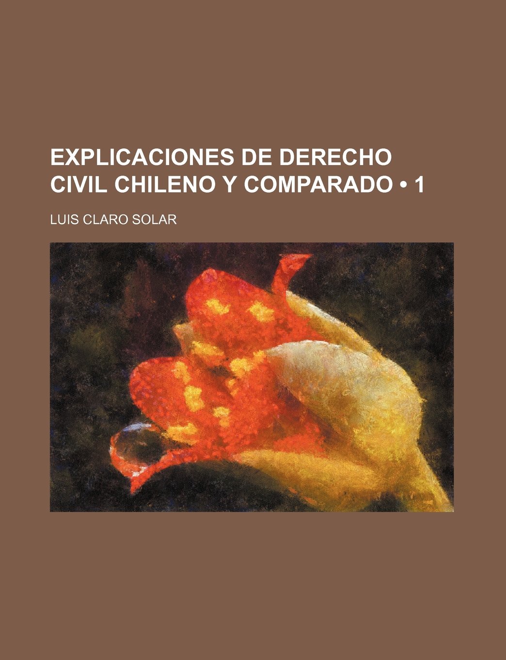 Explicaciones de Derecho Civil Chileno y Comparado (1)