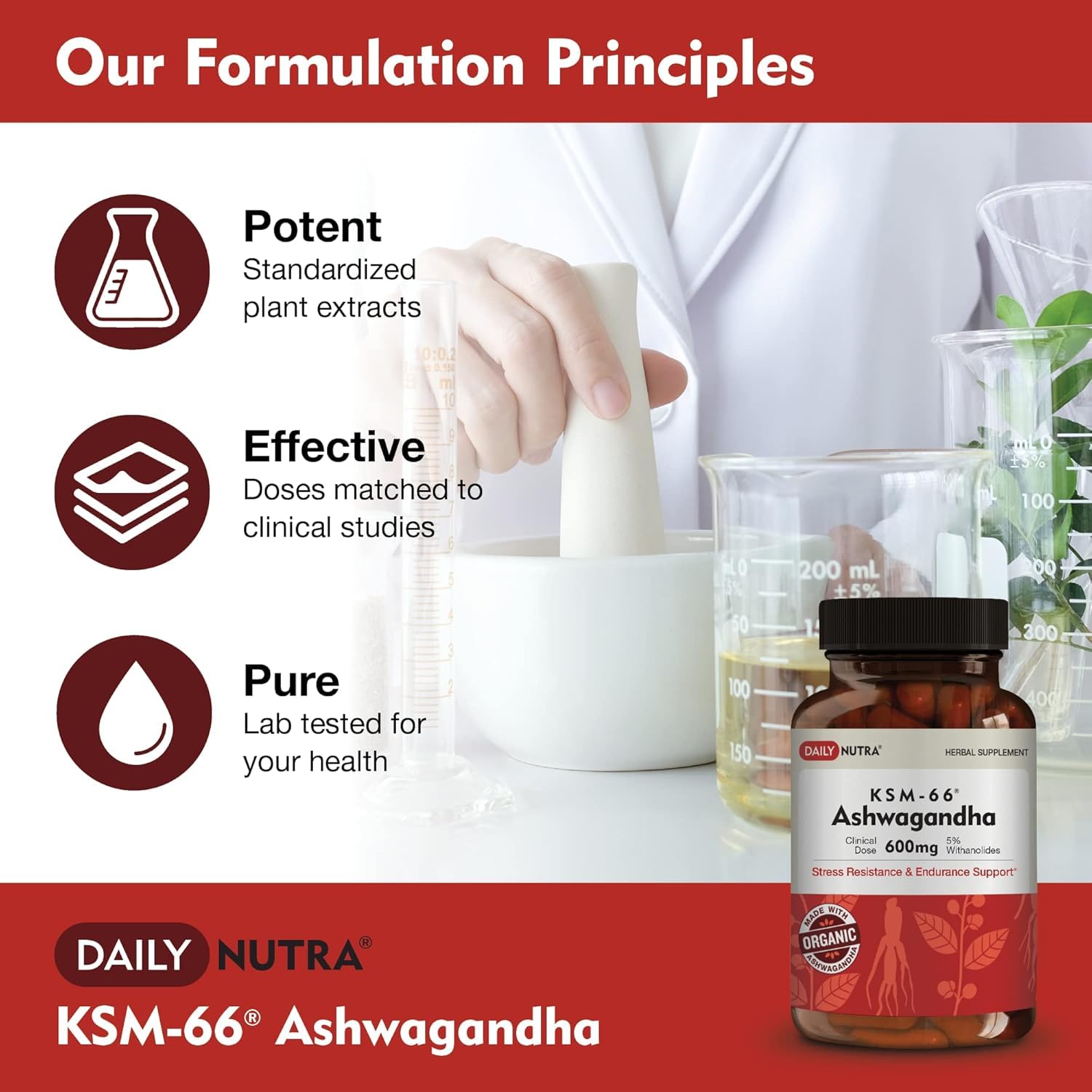 DailyNutra KSM-66 Ashwagandha 600mg Organic Root Extract - High Potency Supplement with 5% Withanolides | Relieves Tiredness, Supports Relaxation, Focus, Energy, & Muscle Growth (60 Capsules) — Amazon image 8
