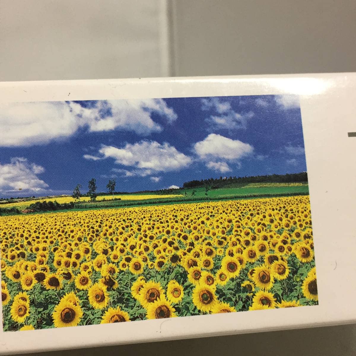 Amazon | ○未 ジグソーパズル 『THE OF SUNFLOWER』 ひまわり咲く頃