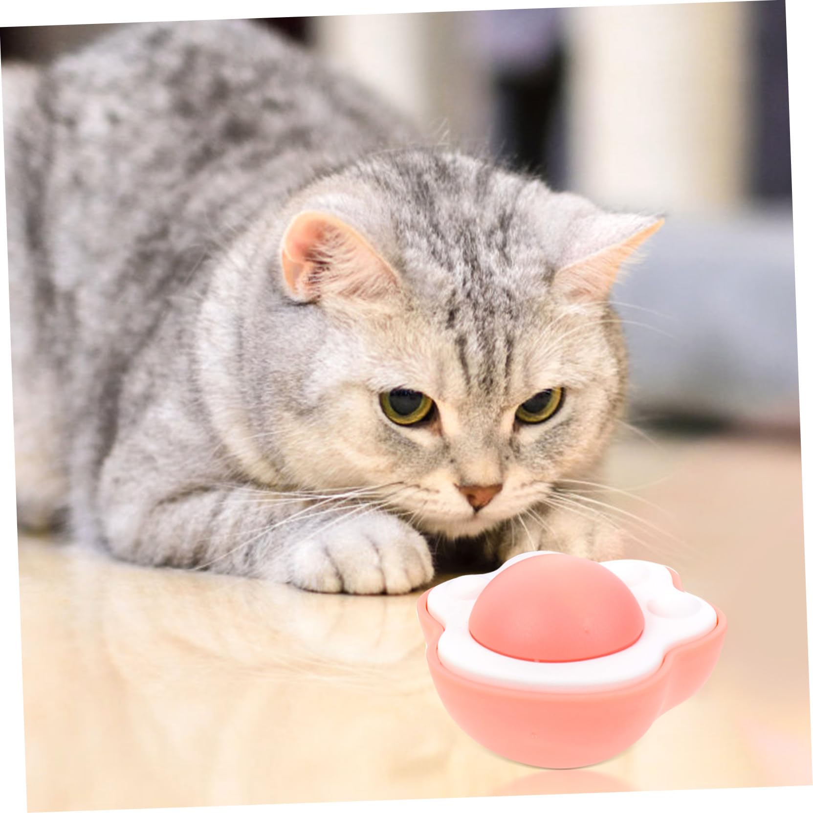 Yardwe 15stücke Teiliges Katzenminze Spielzeugball Für Katzen Interaktives Für Gesunde Zähne Und Frischen Atem Für Drinnen Inklusive Blauen Pinken