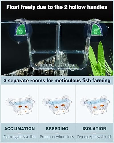 Miniatura 4 de Pawfly Caja de cría de peces de acuario, incubadora de incubadora de peceras con 6 ventosas, caja de acrílico para eclosionar para peces bebés,