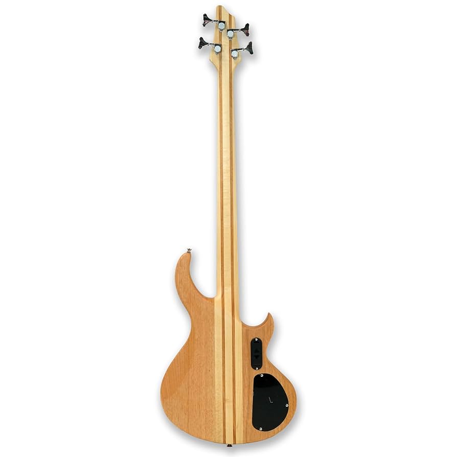 Amazon.com: Gstyle Left-handed Fretless 4 String Neck