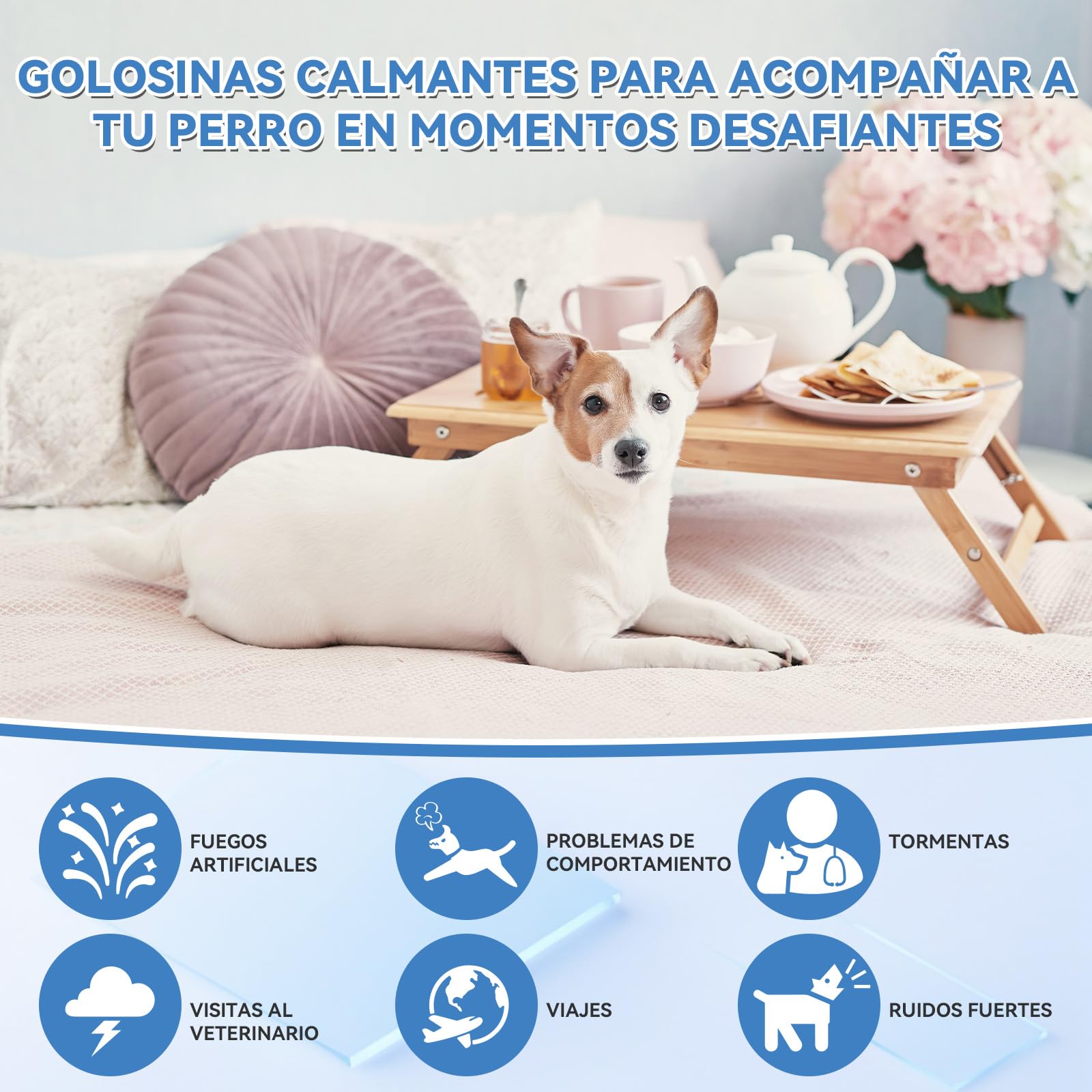 WEALLIN Masticables Calmantes para Perros, 200 Unidades para Apoyar la Calma en Perros, Separación, Ladridos, Viajes, Fuegos Artificiales, para Todas Las Razas y Tamaños, Sabor a Pollo