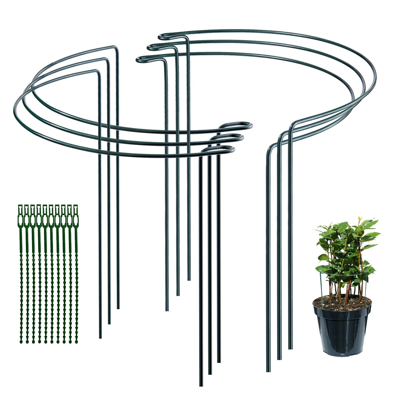 JIALWEN 4 Gabbie Per Piante In Metallo 20x35 Cm - Supporti Semicircolari Verdi Per Giardino E Vasi - 3