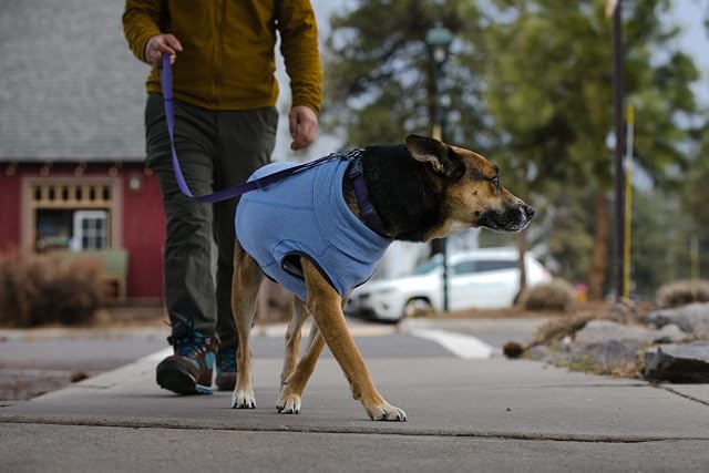 Foto 8 de 8 de RUFFWEAR Chaqueta para Perros, Hemp Hound Sweater, Chaqueta de Perro Premium Hecho con Mezcla de algodón…