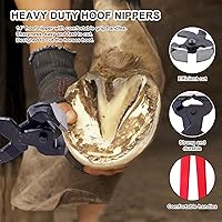 Vista 4 de Kit de herramientas de herrador de caballos de 14 pulgadas, 6 herramientas profesionales para recortar pezuñas, pueden recortar fácilmente