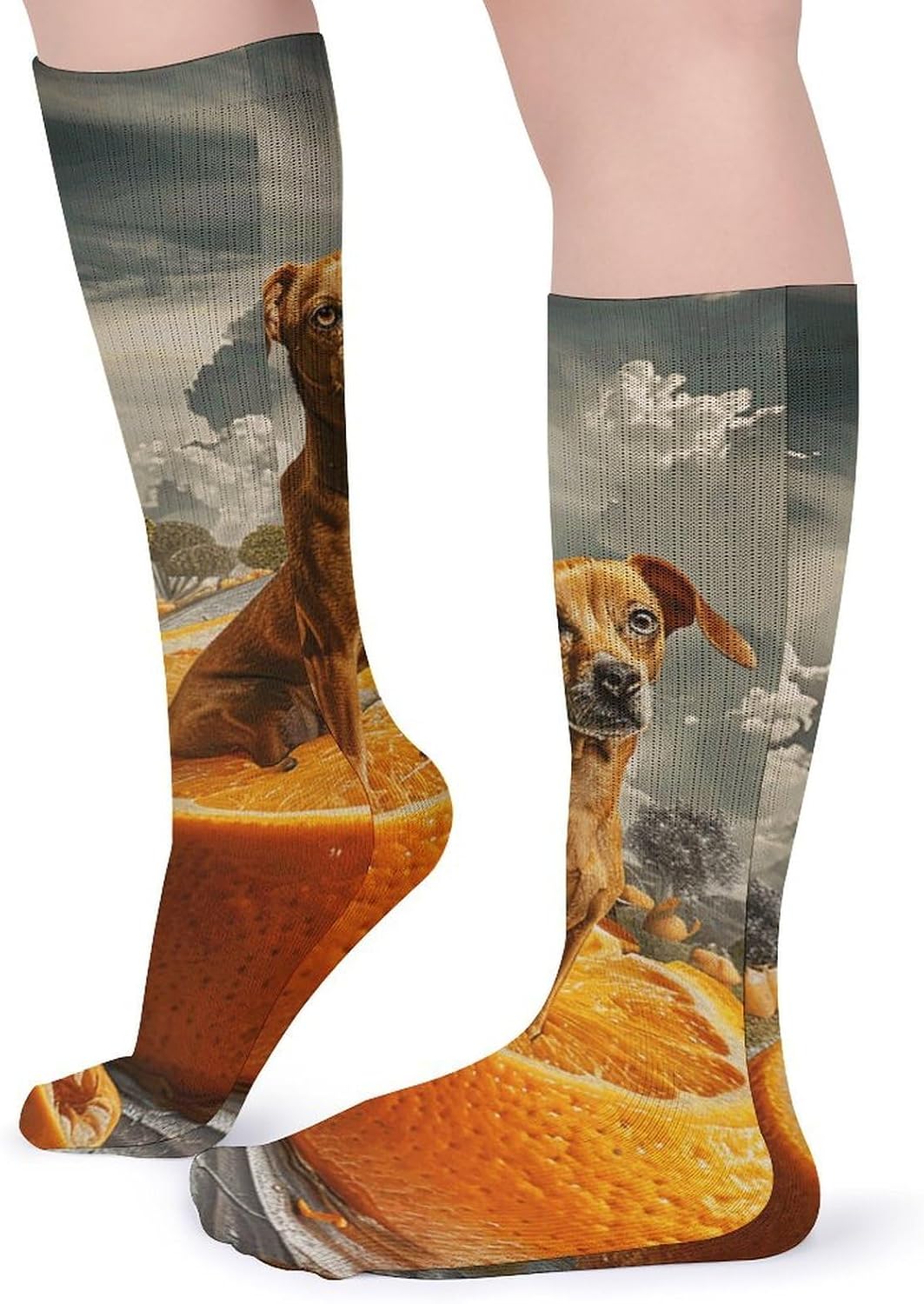 5 Pairs Knee High Socks Dalmatian Dog Long Tube Boot Seamless Toe