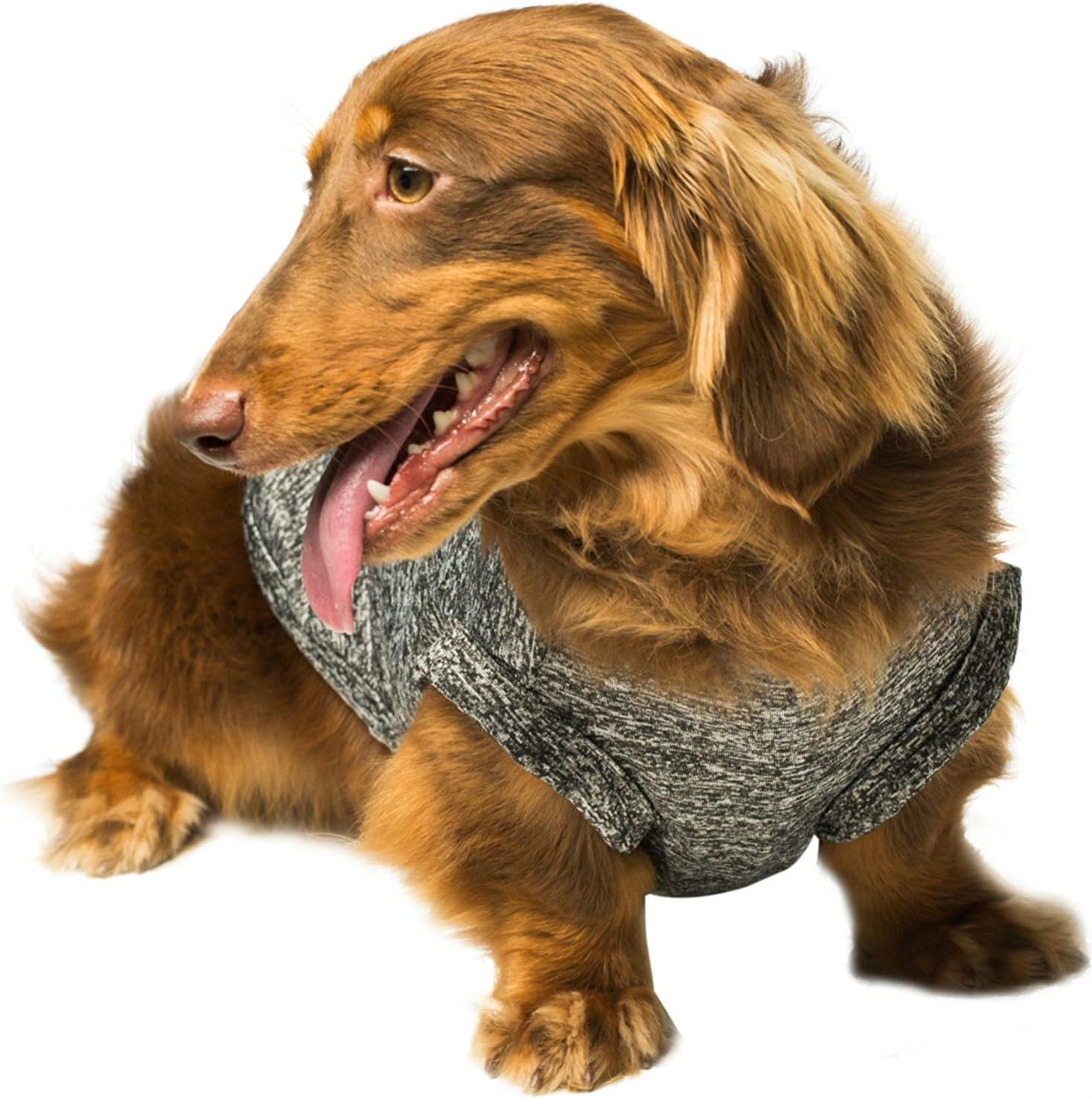 Dog Shirt for Medium Dogs Pet Clothes Quick Dry Tee Shirt Cat Tank Top Vest