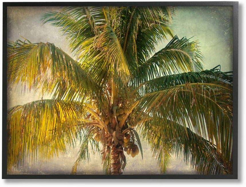 Stupell Industries Distressed Tropical Summer Palm Tree Frond Photograph Wall Art, 24 x 30, Green
