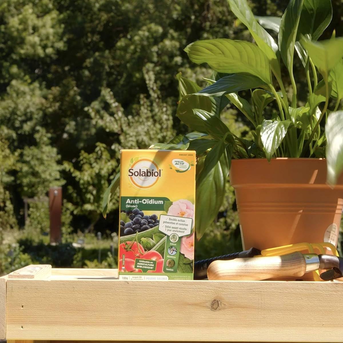 SOLABIOL Anti-Oïdium Blanc - 33L de Solution - 100g | Action Préventive & Curative - Efficace sur Oïdium & Tavelure - Utilisable en Agriculture Biologique - SOARMI100