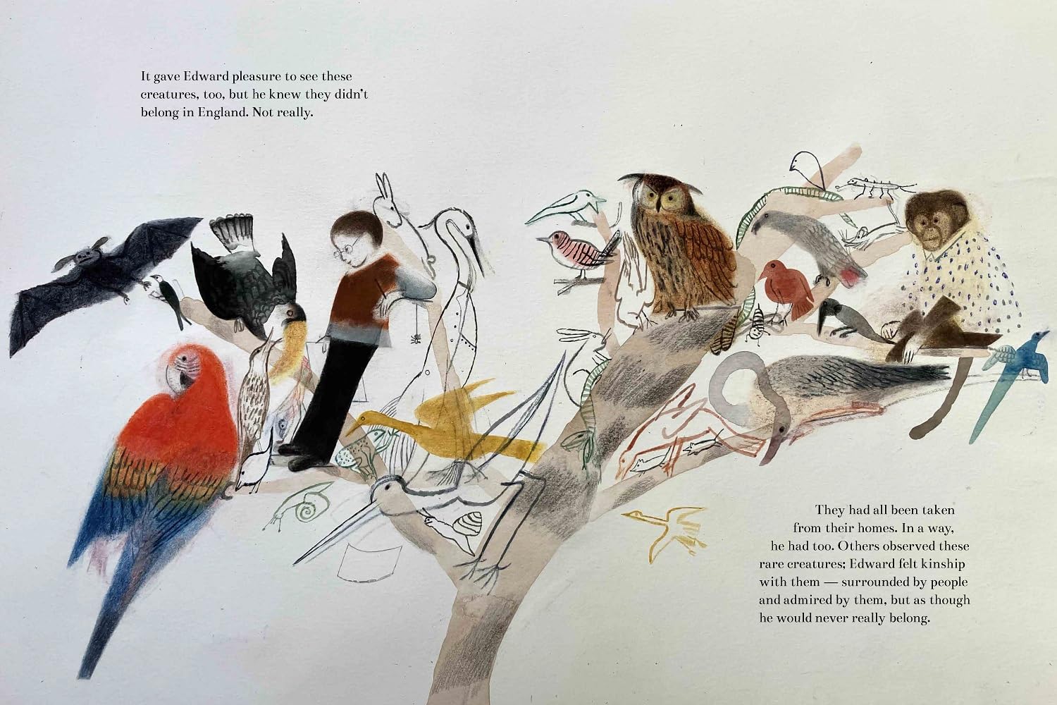 The Boy Who Became a Parrot: A Foolish Biography of Edward Lear, Who Invented Nonsense