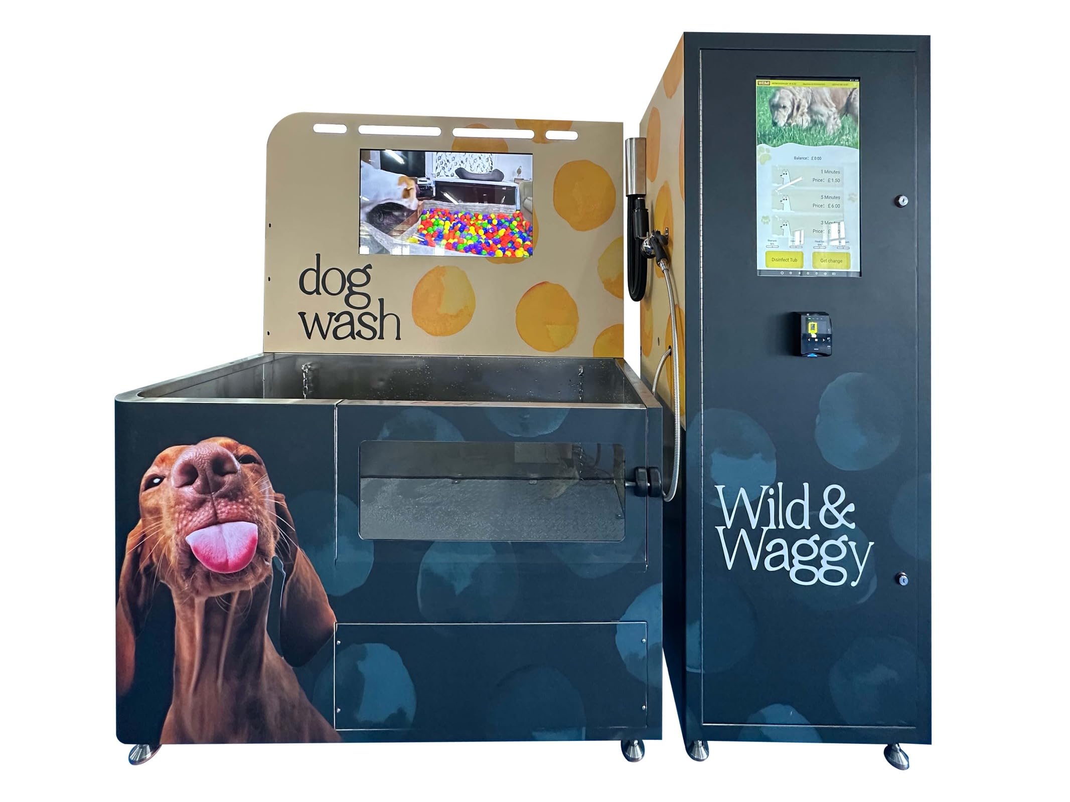 Machine de lavage automatique pour chien, station de toilettage pour
