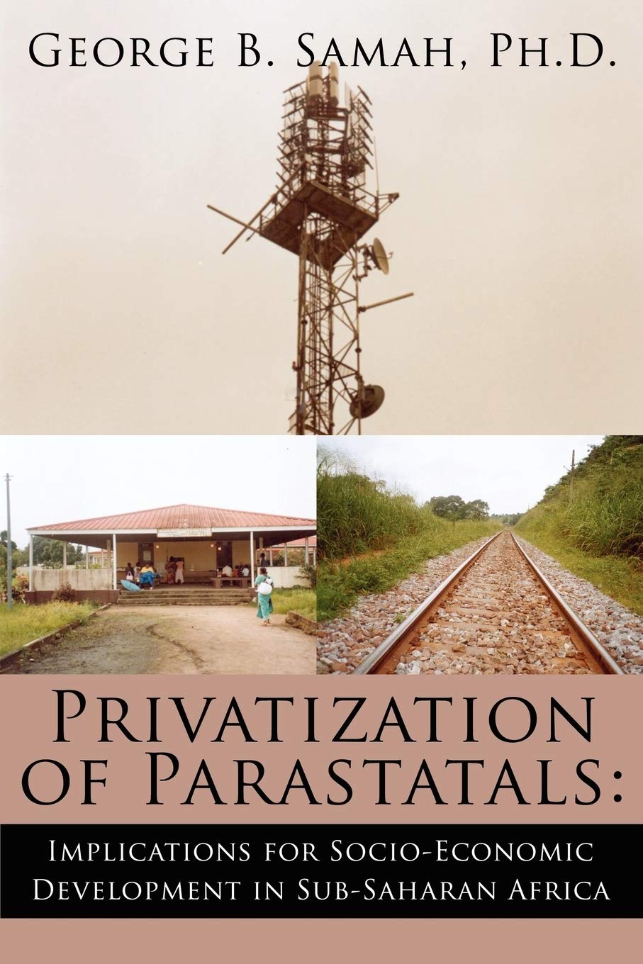 Privatization of Parastatals:: Implications for Socio-Economic Development in Sub-Saharan Africa