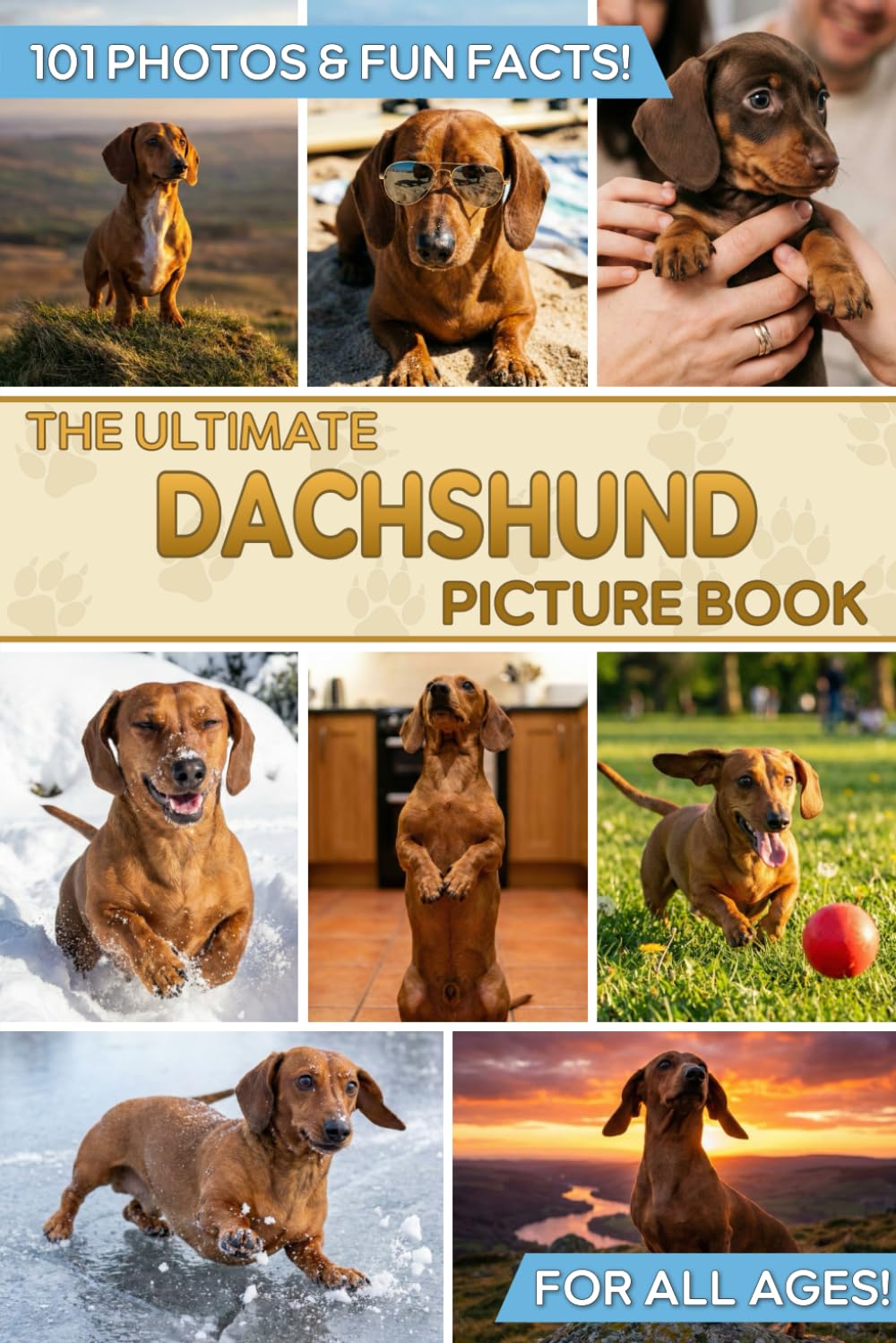 The Ultimate Dachshund Picture Book: Educational Guide to the Wiener Dog & Gift for Kids, Adults, and Doxie Lovers with 101 Colorful Photos & Fun Facts