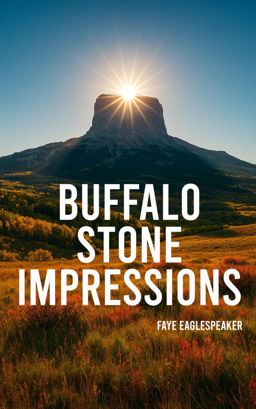 Buffalo Stone Impressions